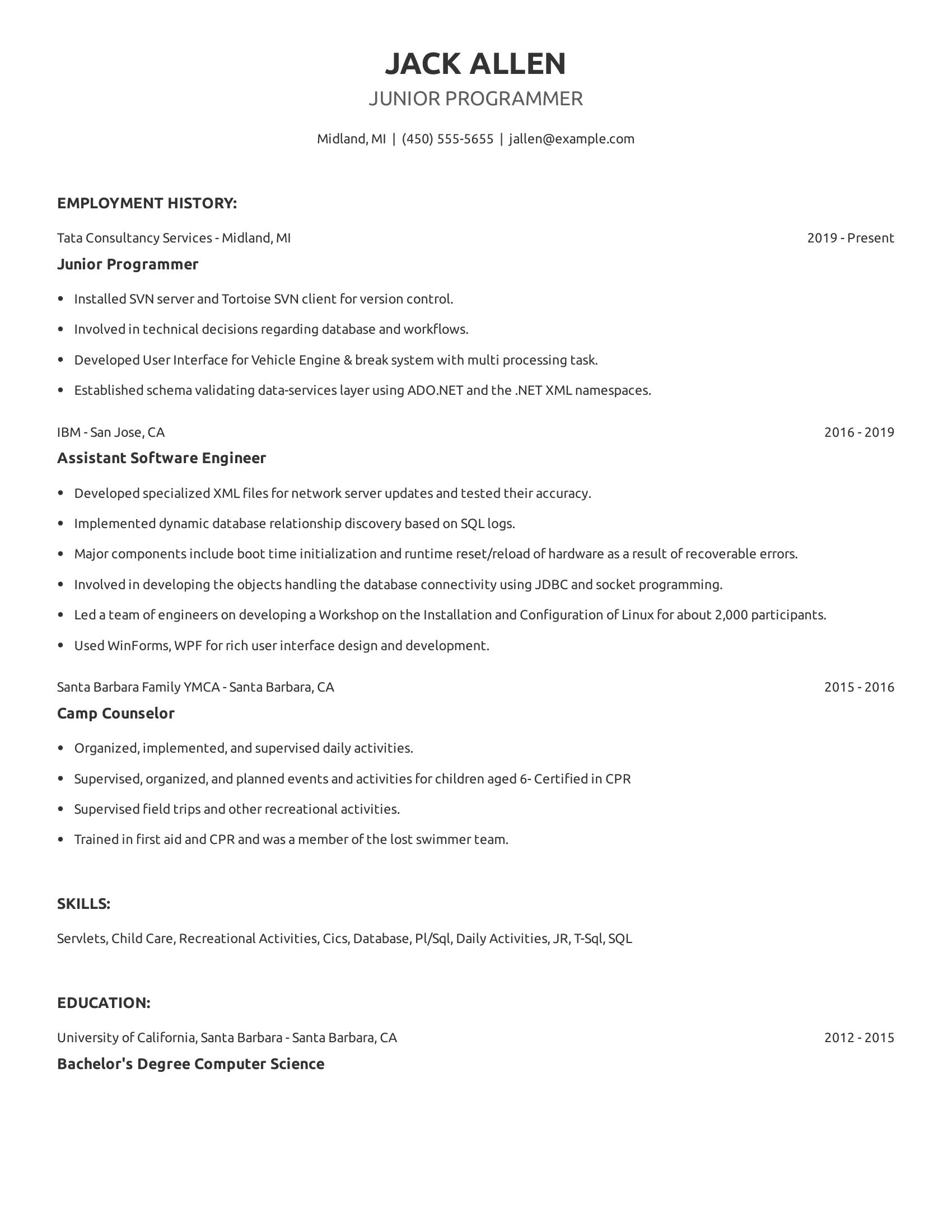 Junior Programmer resume example