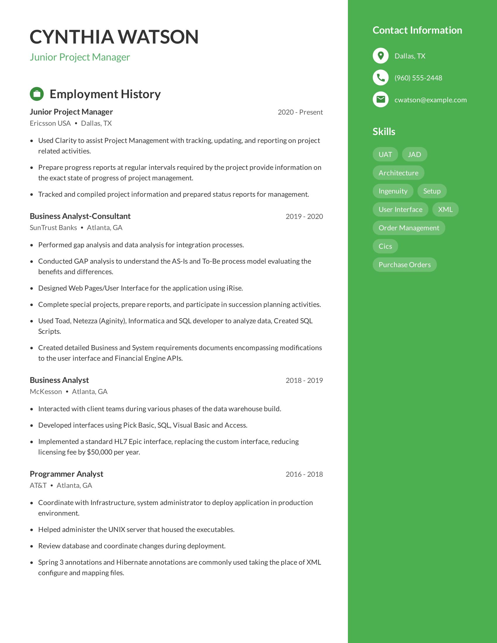 Junior Project Manager resume example