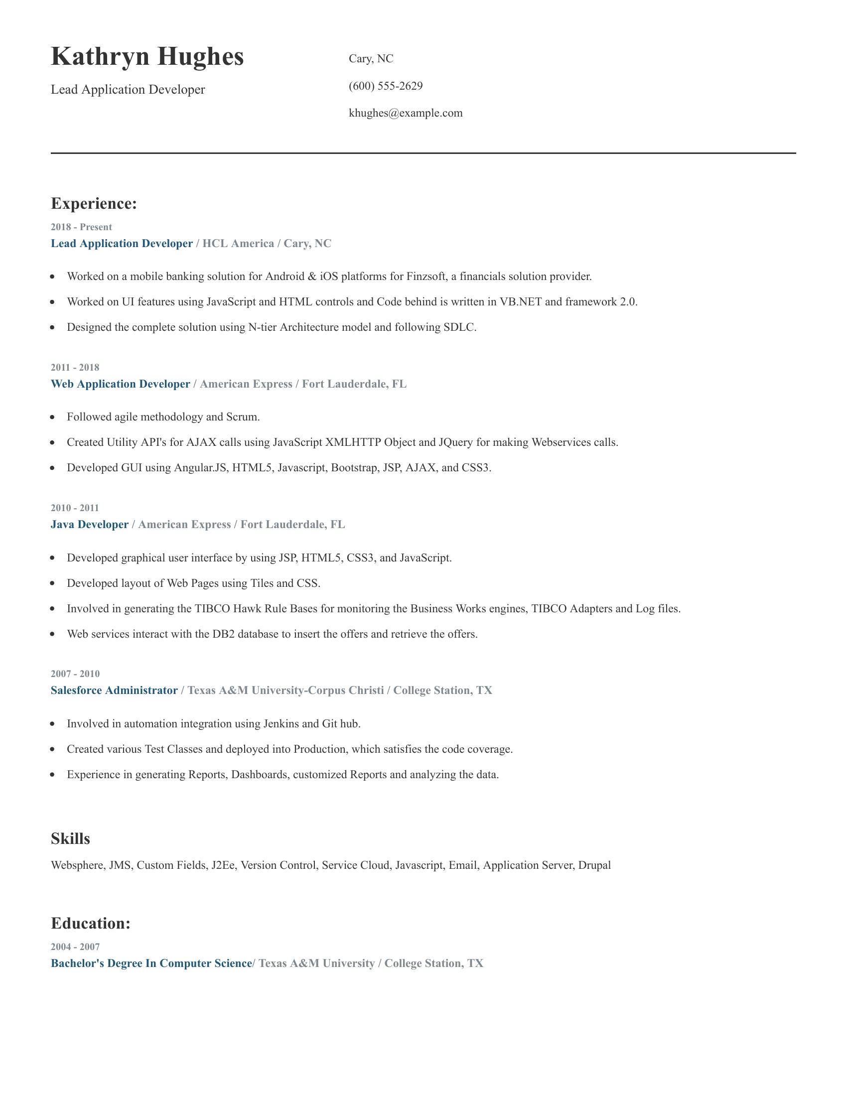 Lead Application Developer resume example