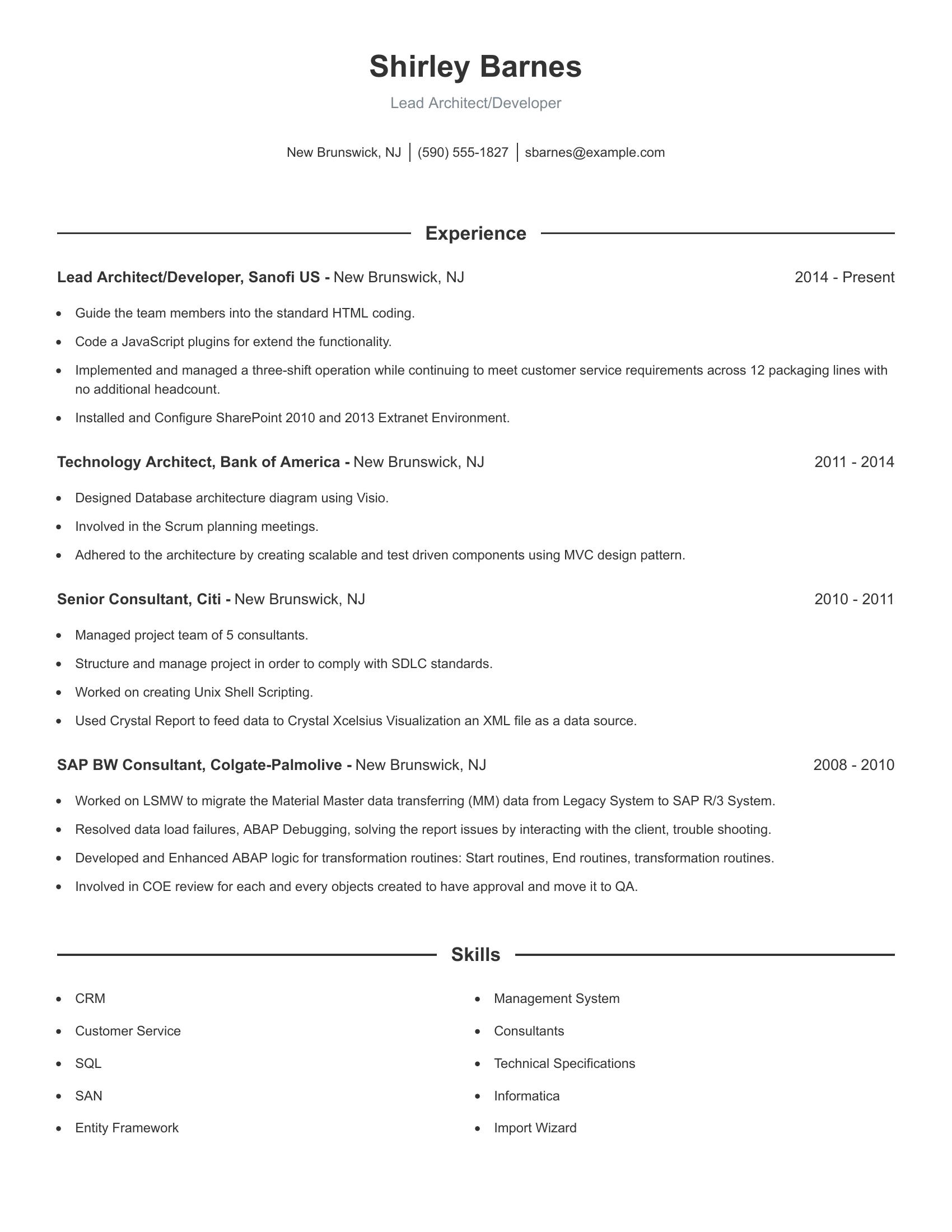 Lead Architect/Developer resume example