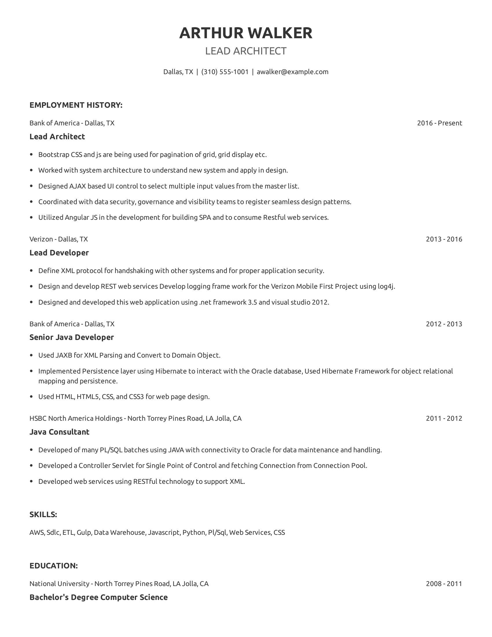 Lead Architect resume example