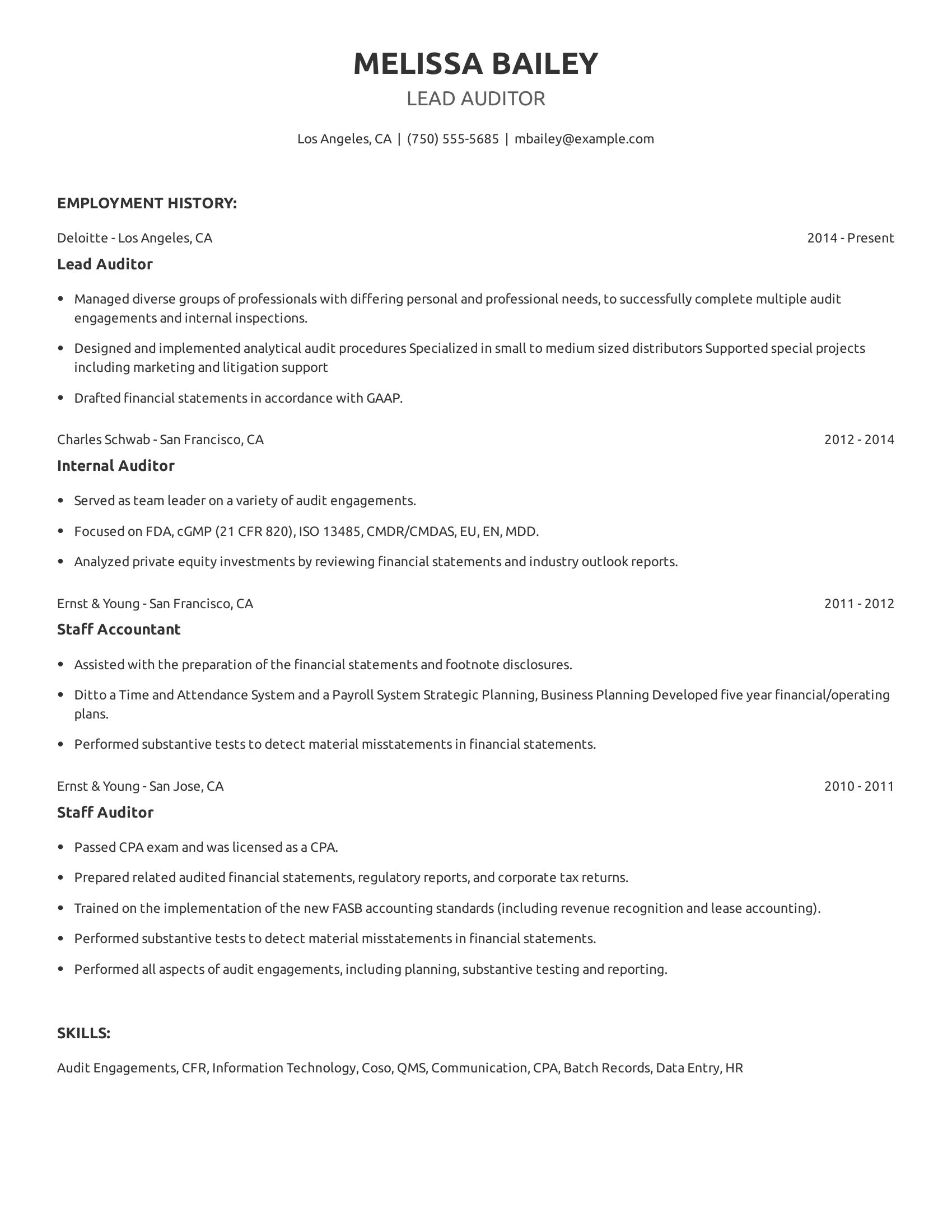 Lead Auditor resume example