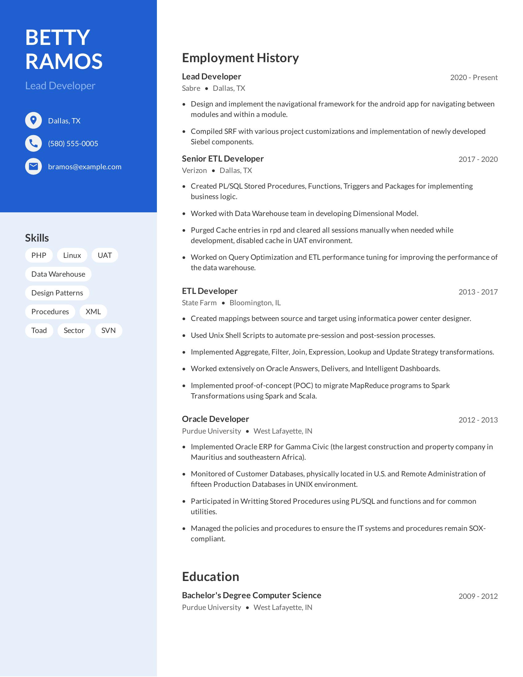 Lead Developer resume example