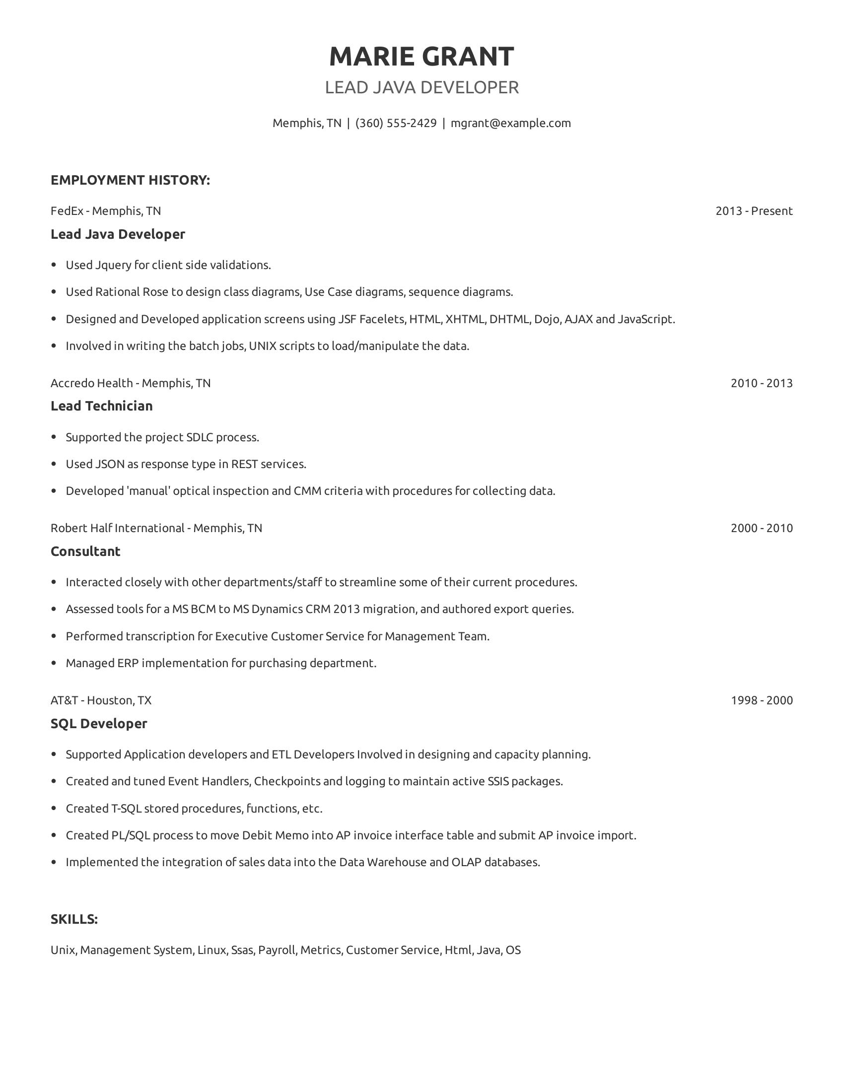 Lead Java Developer resume example