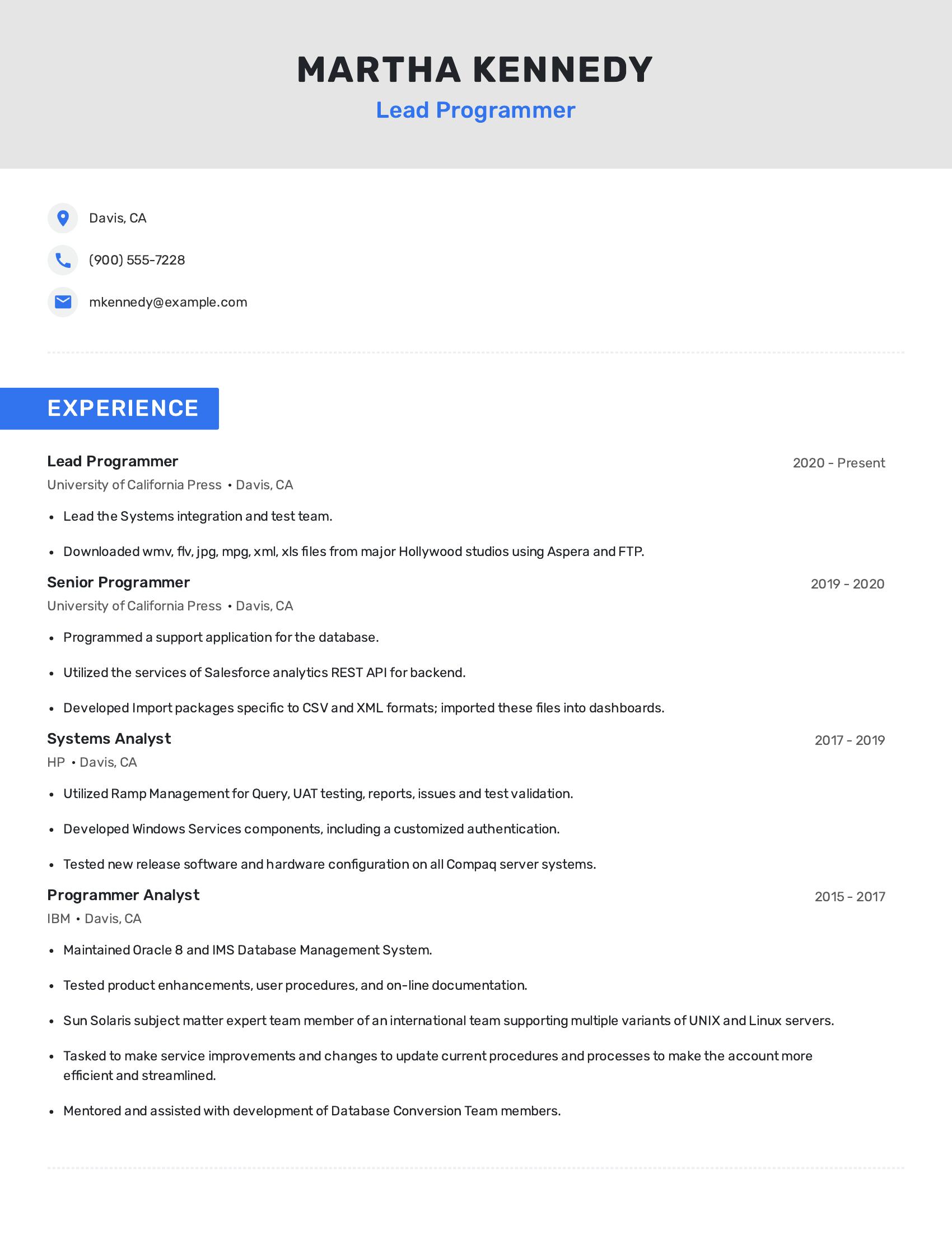 Lead Programmer resume example
