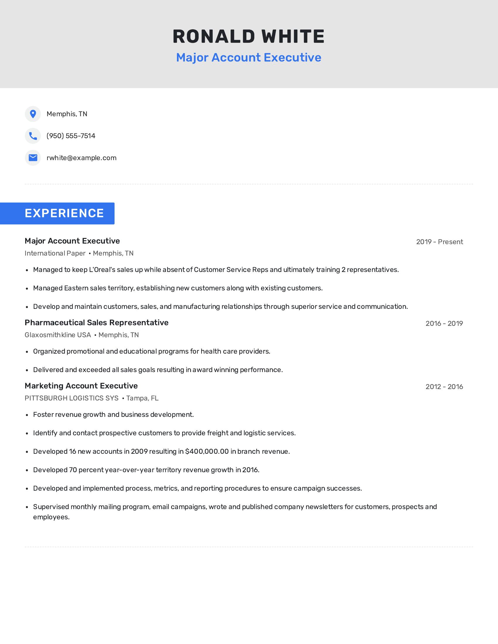 Major Account Executive resume example