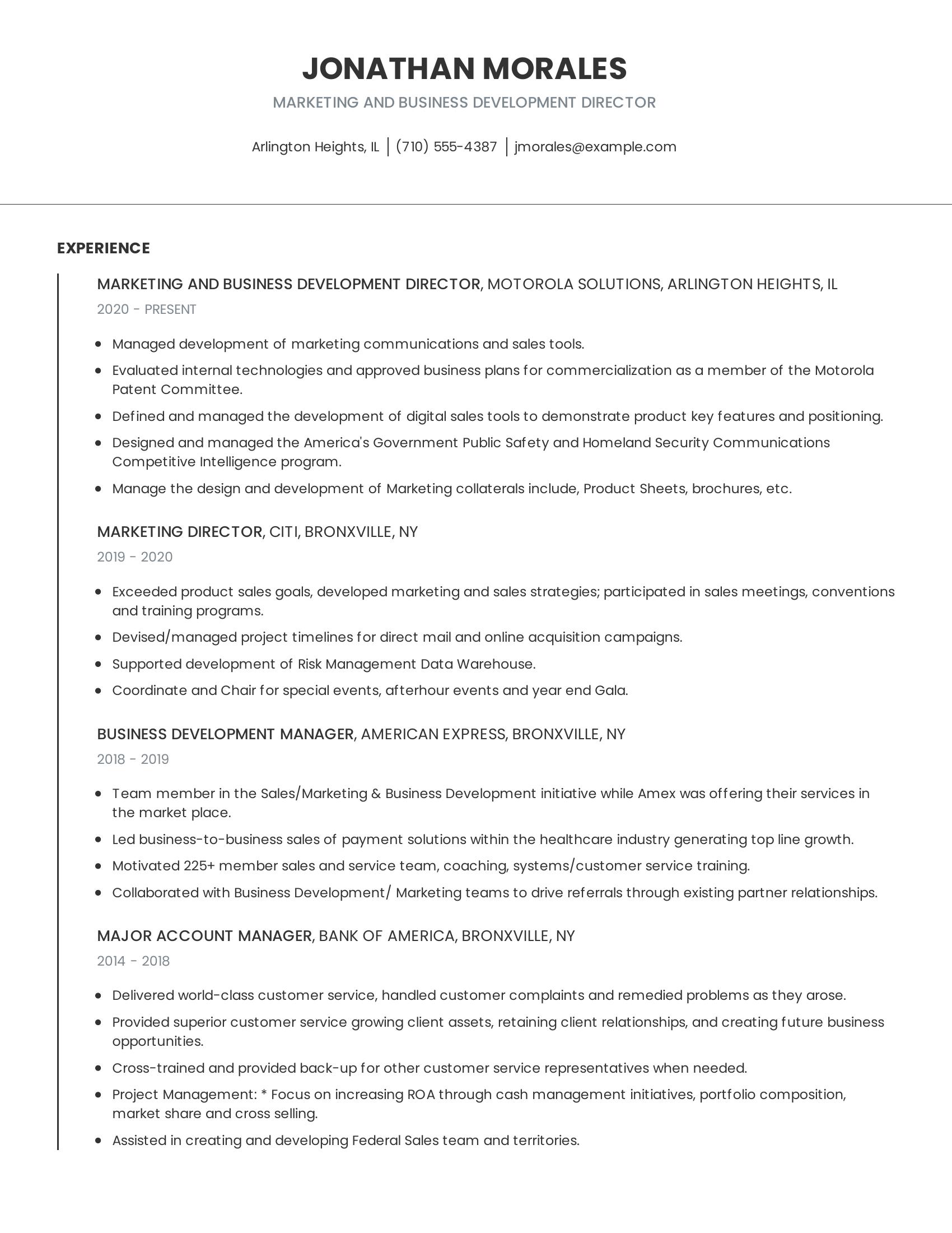 Marketing And Business Development Director resume example