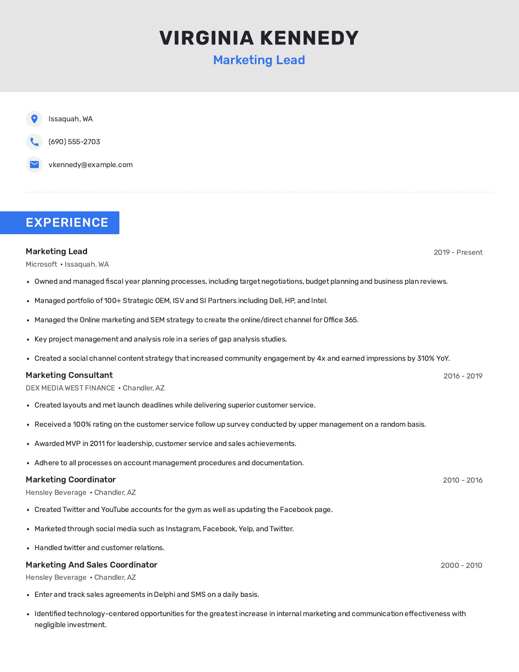 Marketing Lead resume example