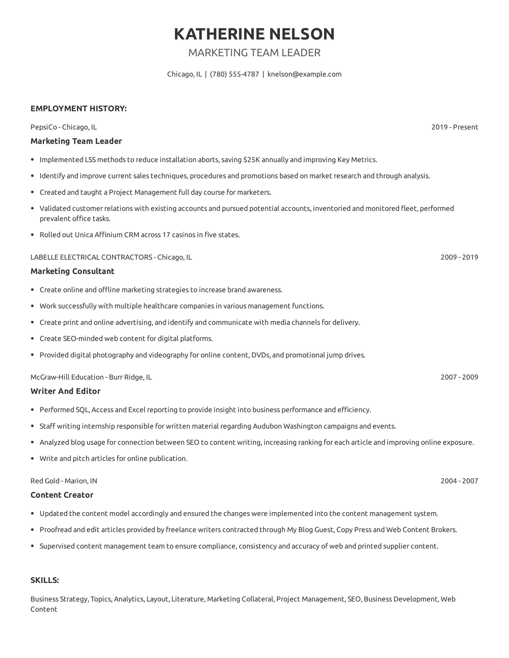 Marketing Team Leader resume example