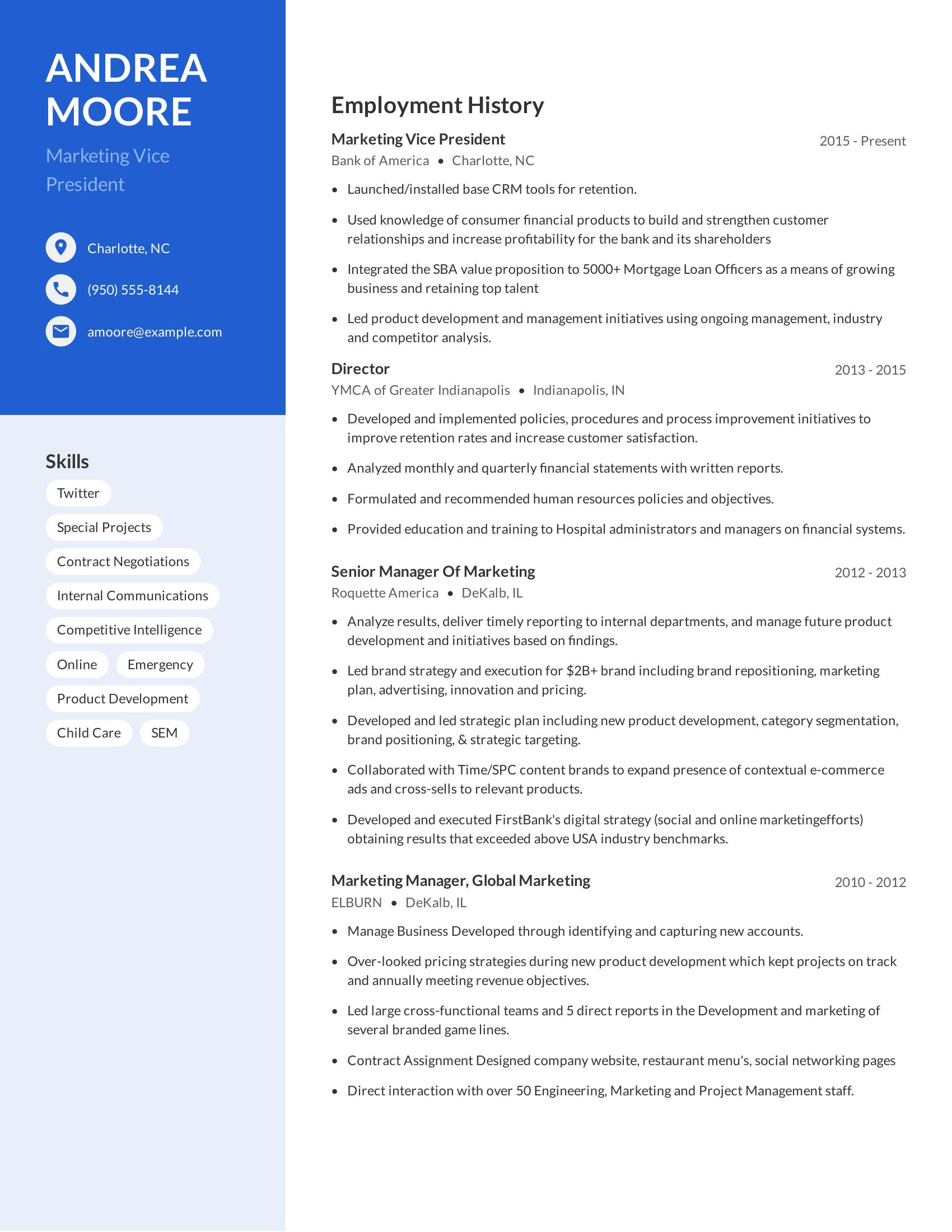 Marketing Vice President resume example