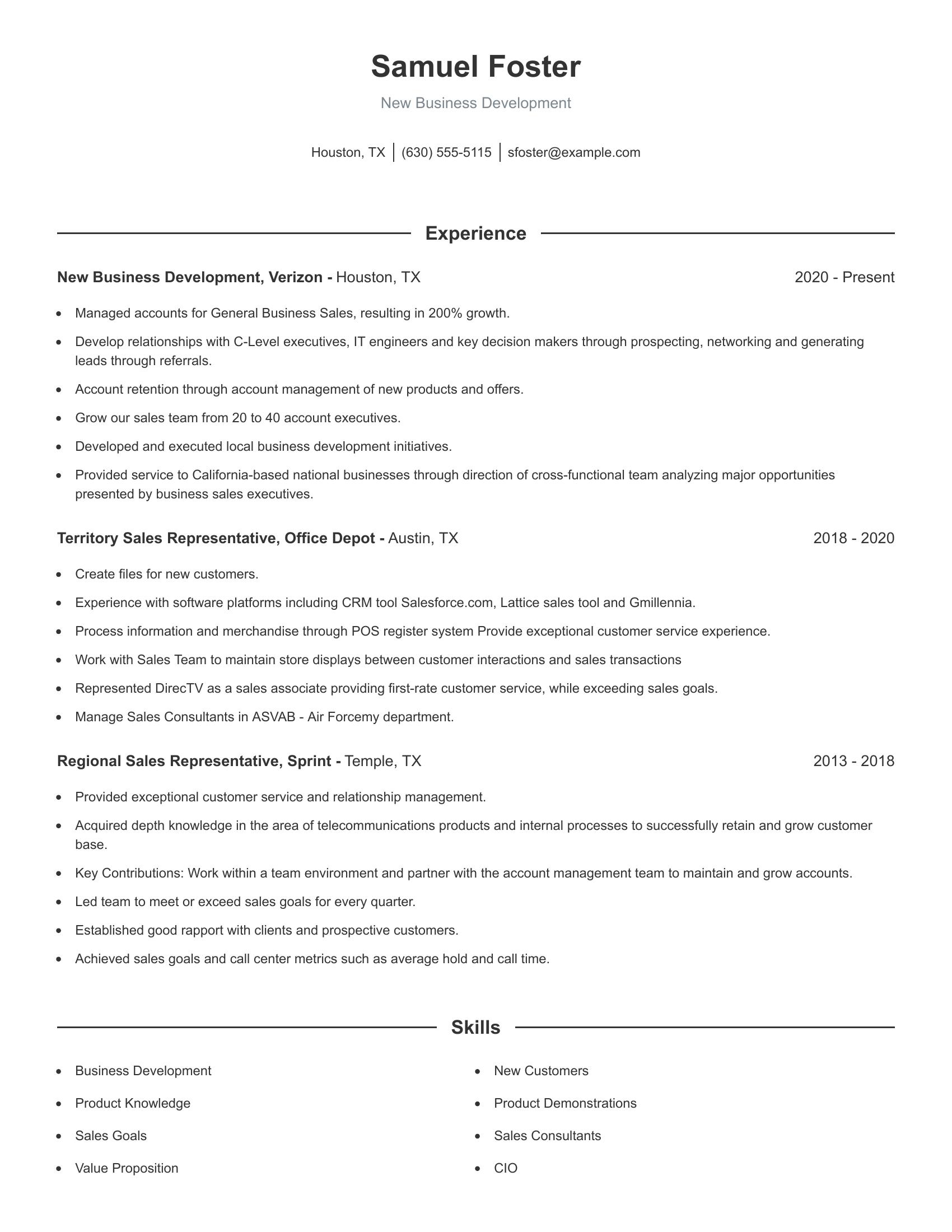 New Business Development resume example