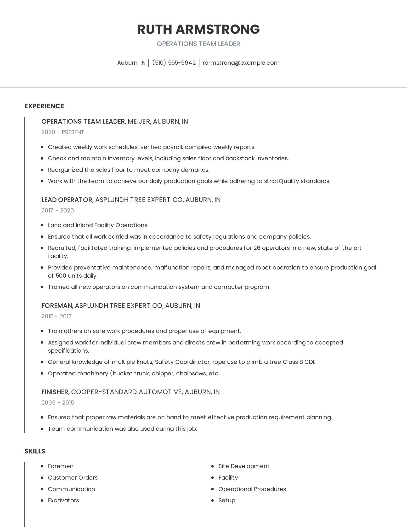 Operations Team Leader resume example