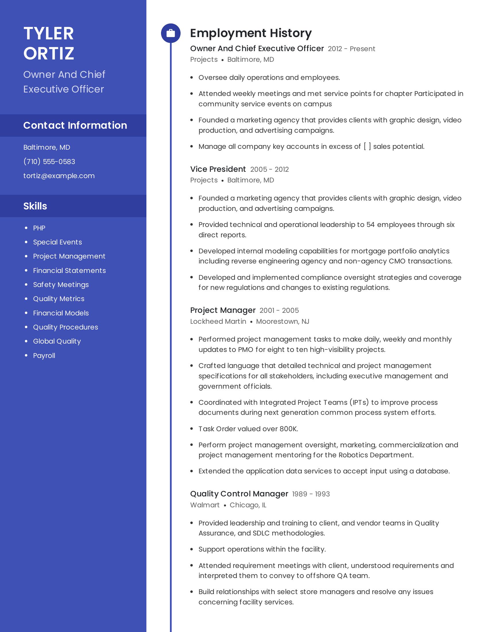 Owner And Chief Executive Officer resume example