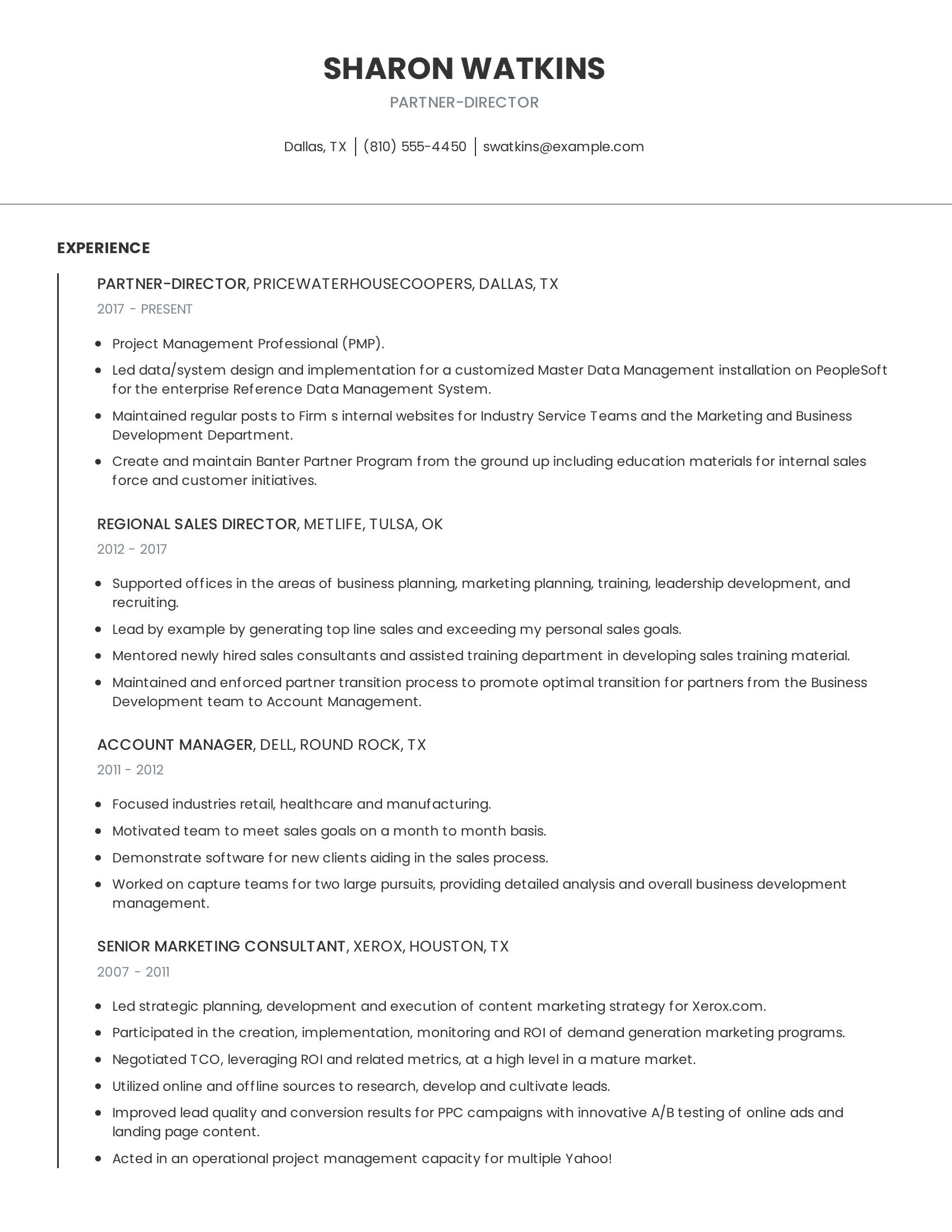 Partner-Director resume example