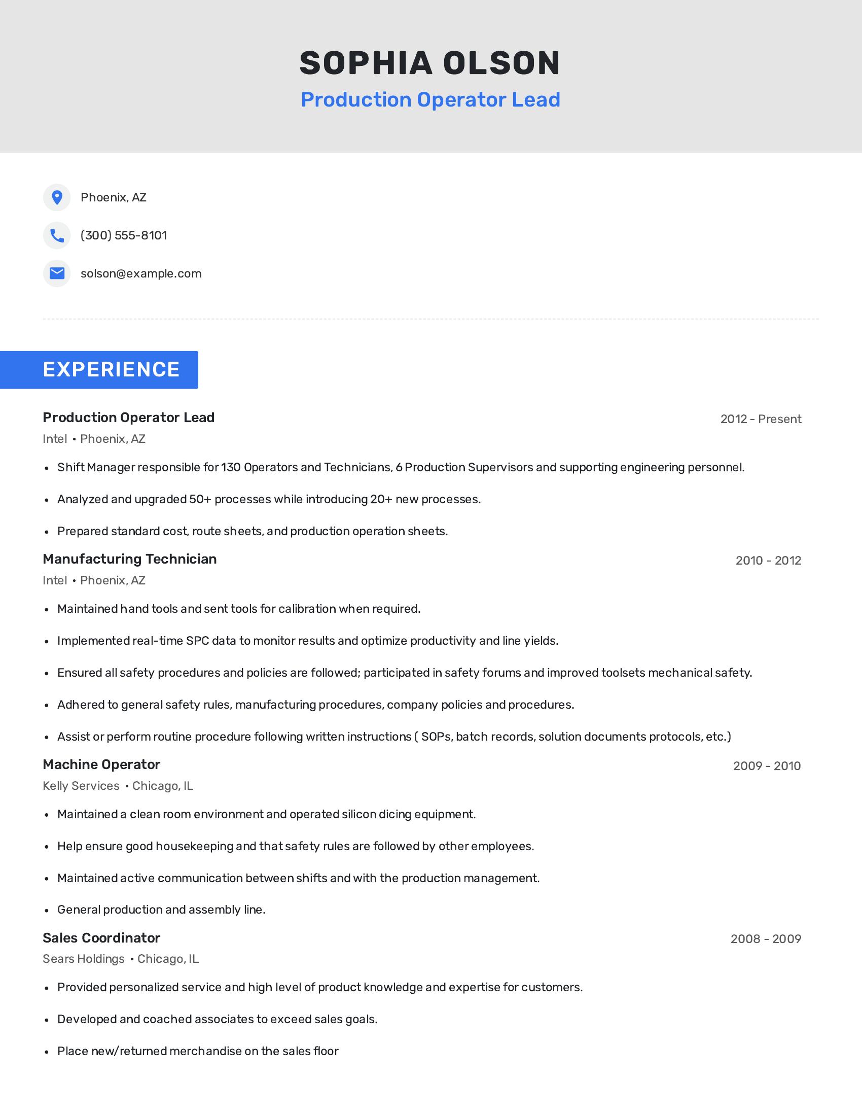 Production Operator Lead resume example