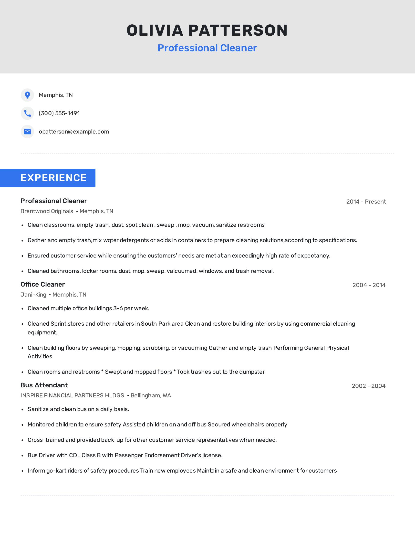 Professional Cleaner resume example