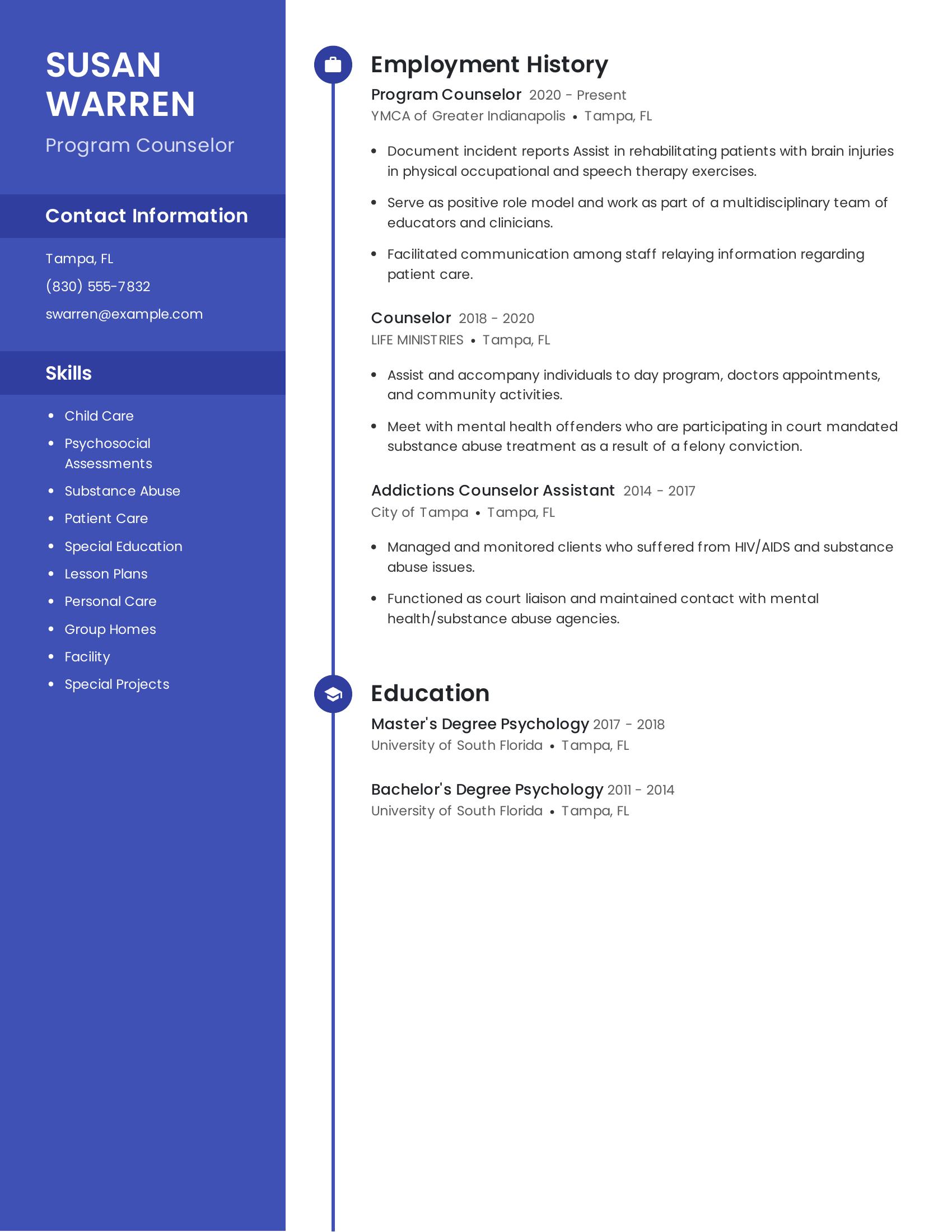 Program Counselor resume example