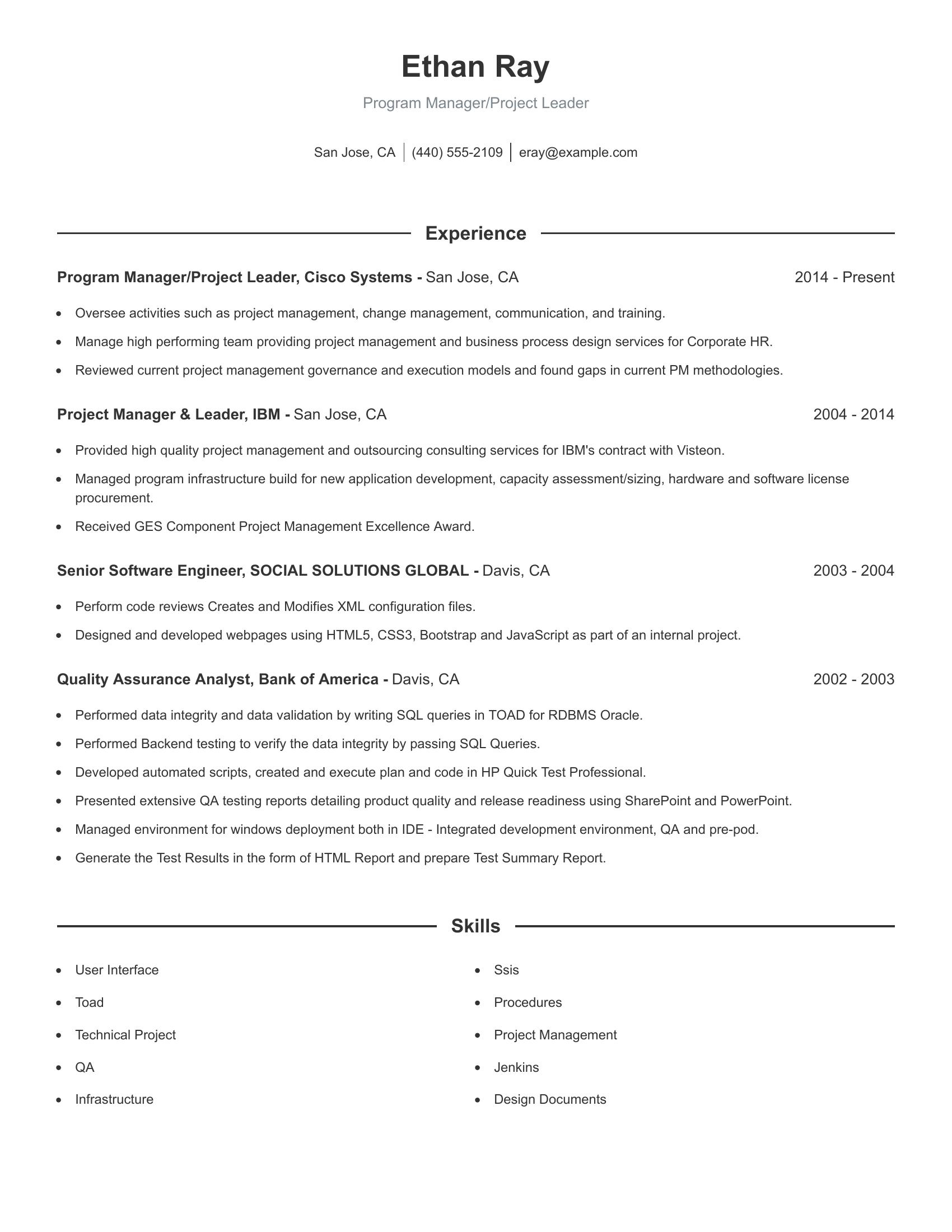 Program Manager/Project Leader resume example