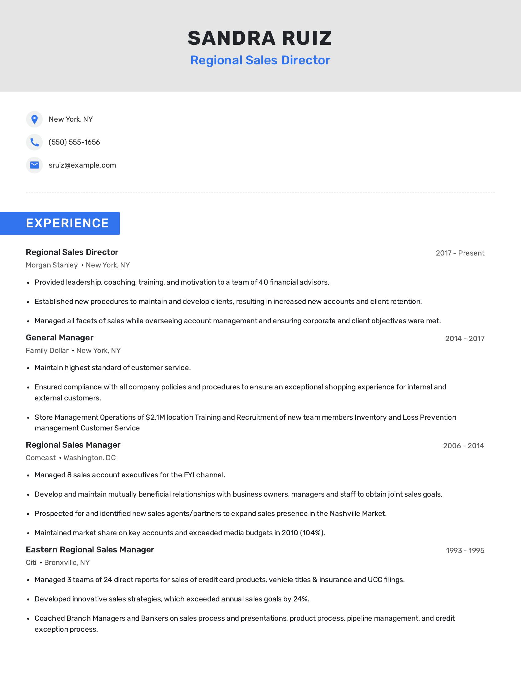 Regional Sales Director resume example