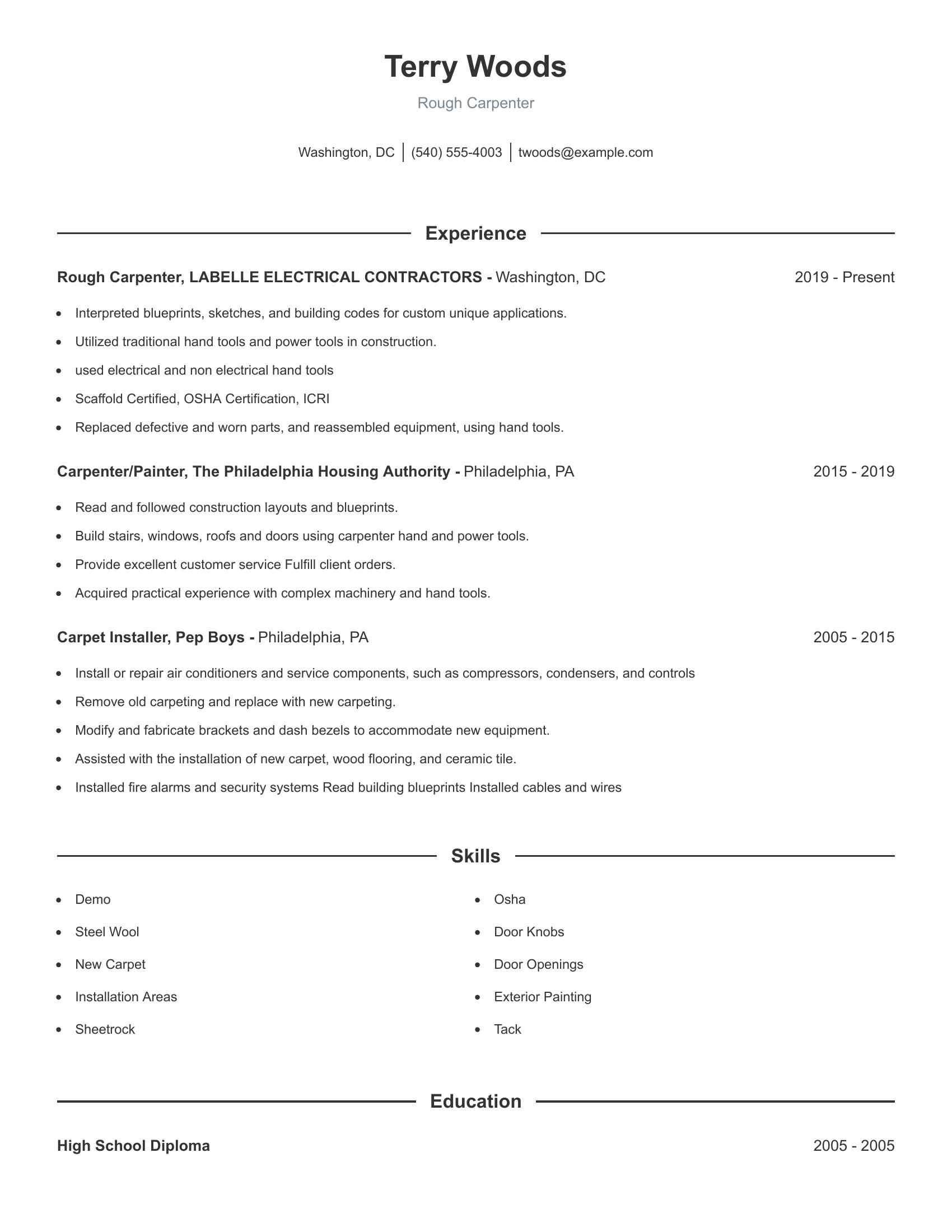 Rough Carpenter resume example