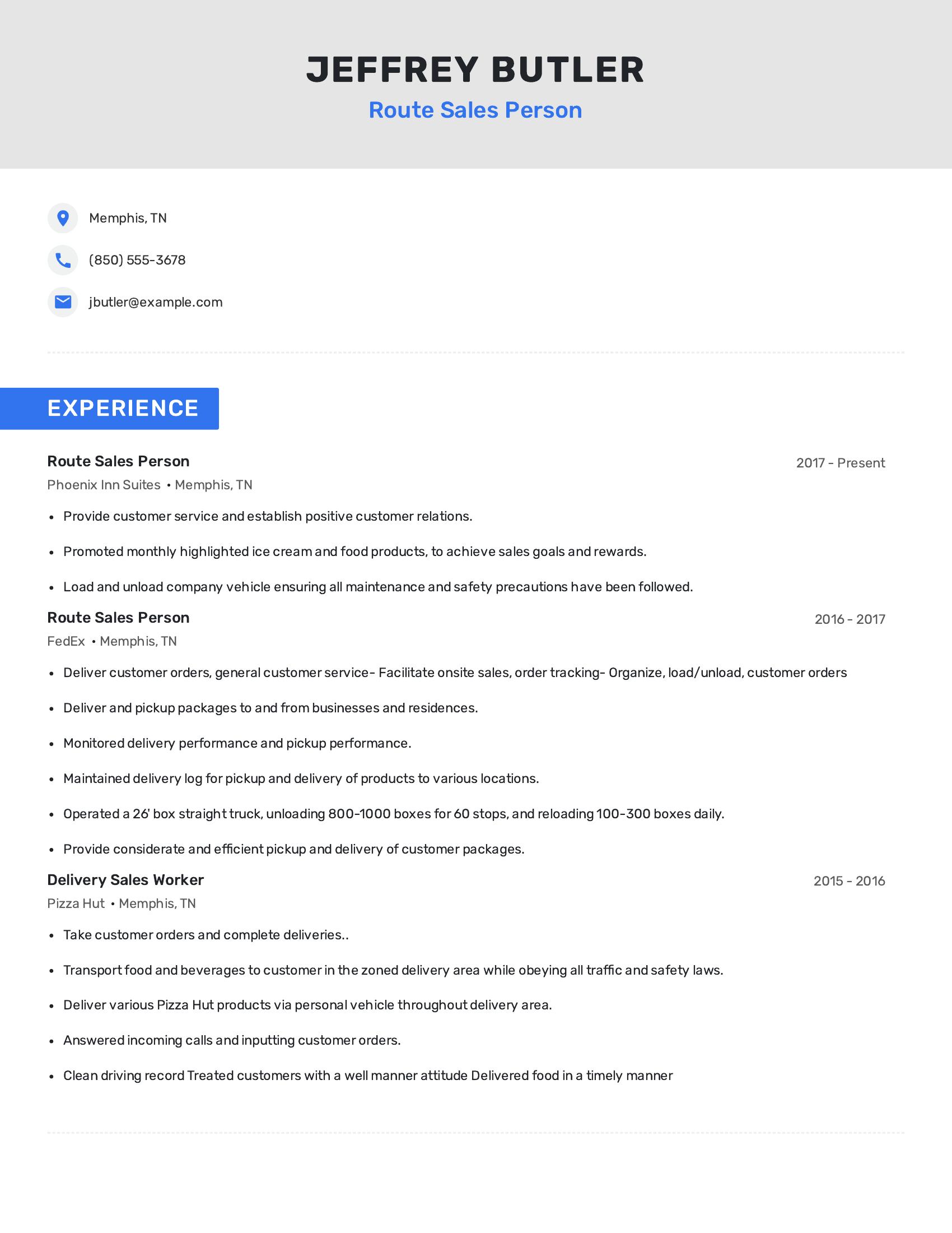 Route Sales Person resume example