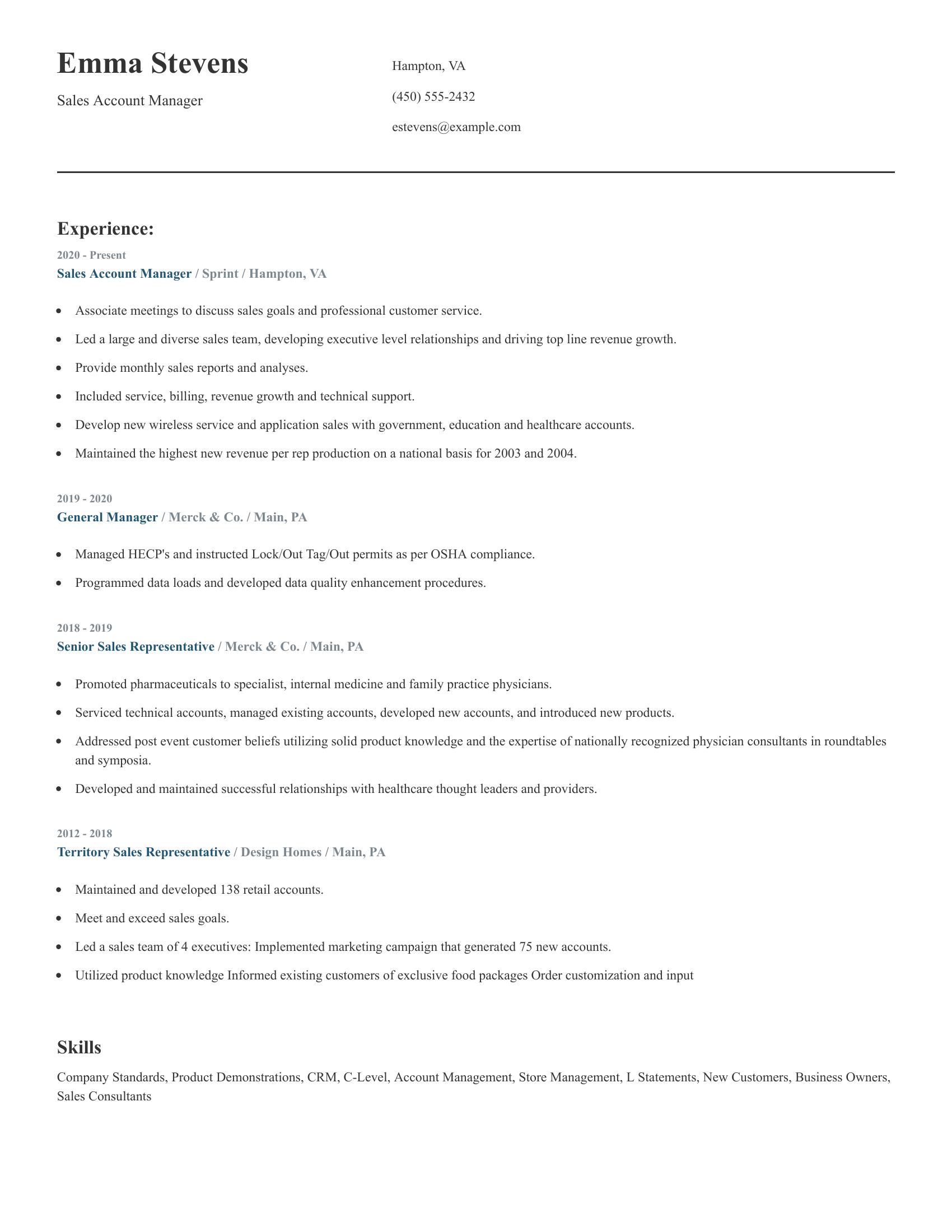 Sales Account Manager resume example