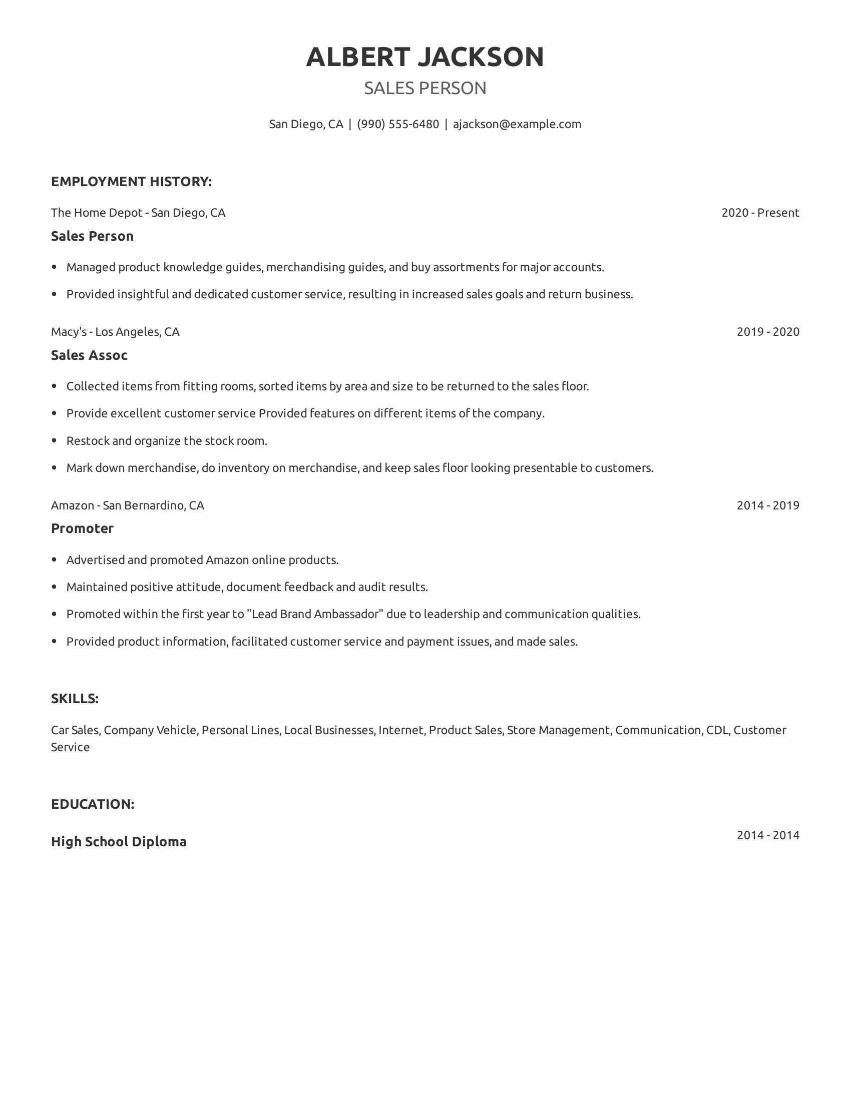 Sales Person resume example