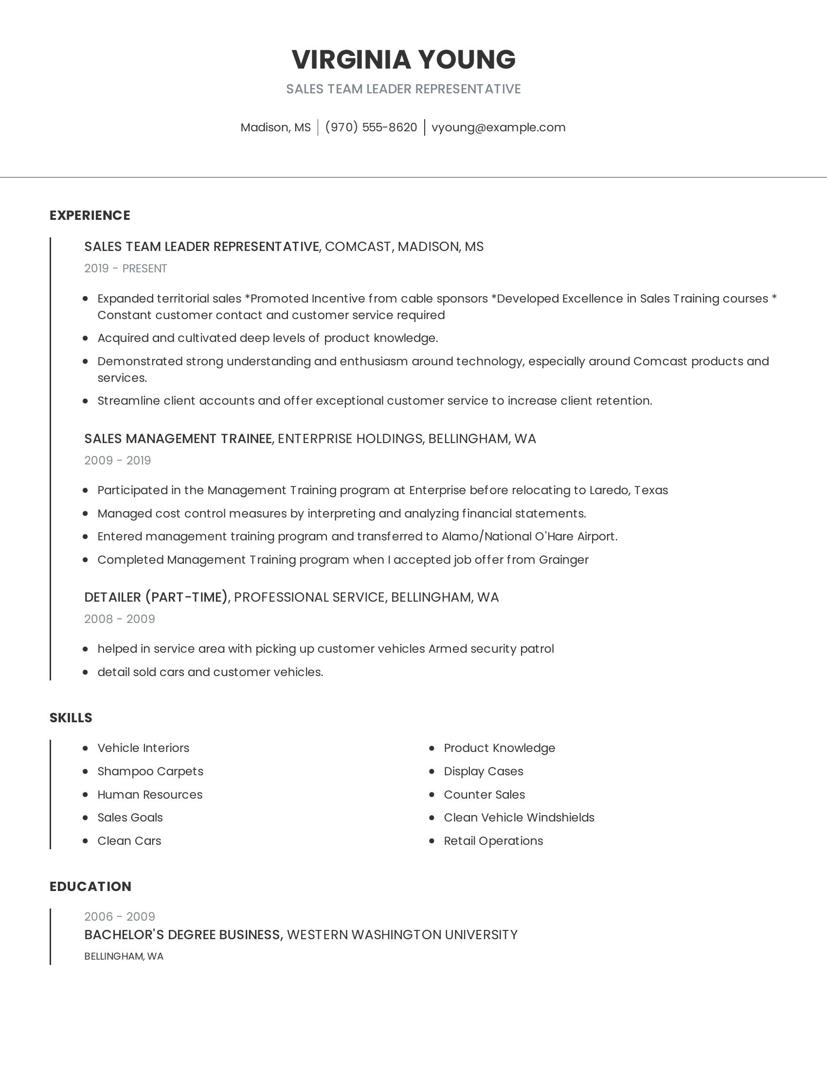 Sales Team Leader Representative resume example