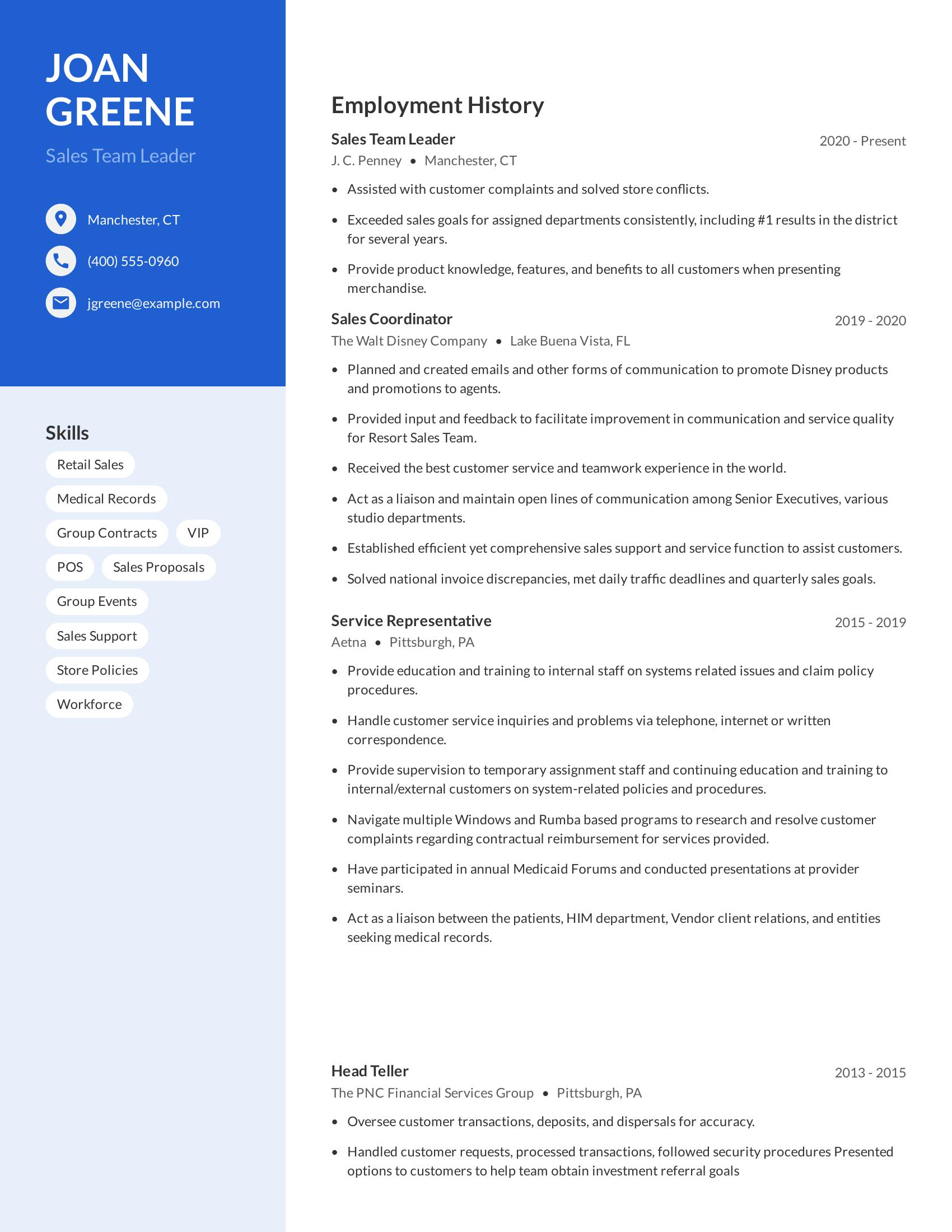 Sales Team Leader resume example