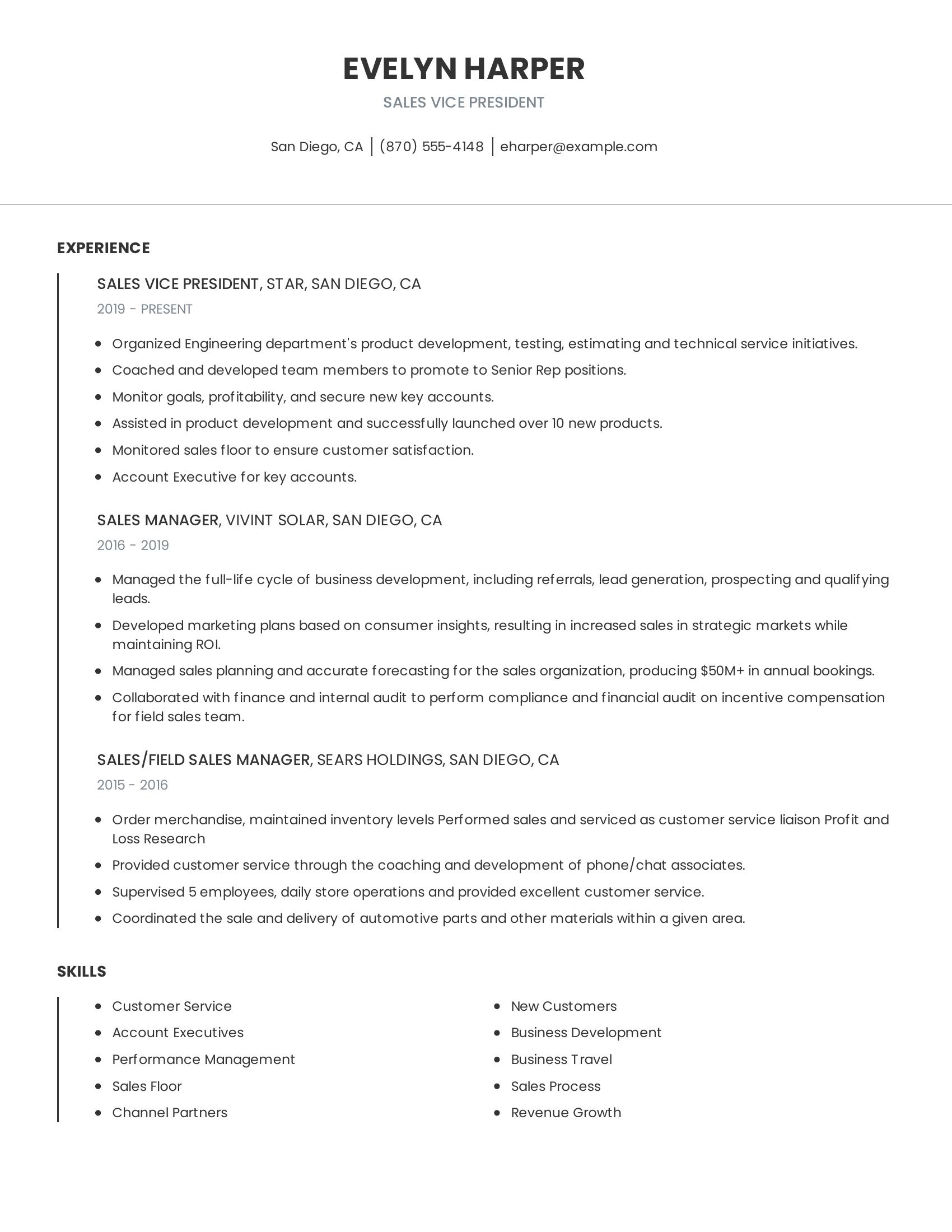 Sales Vice President resume example