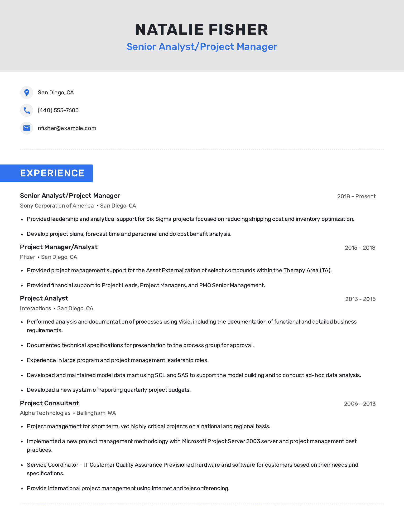 Senior Analyst/Project Manager resume example