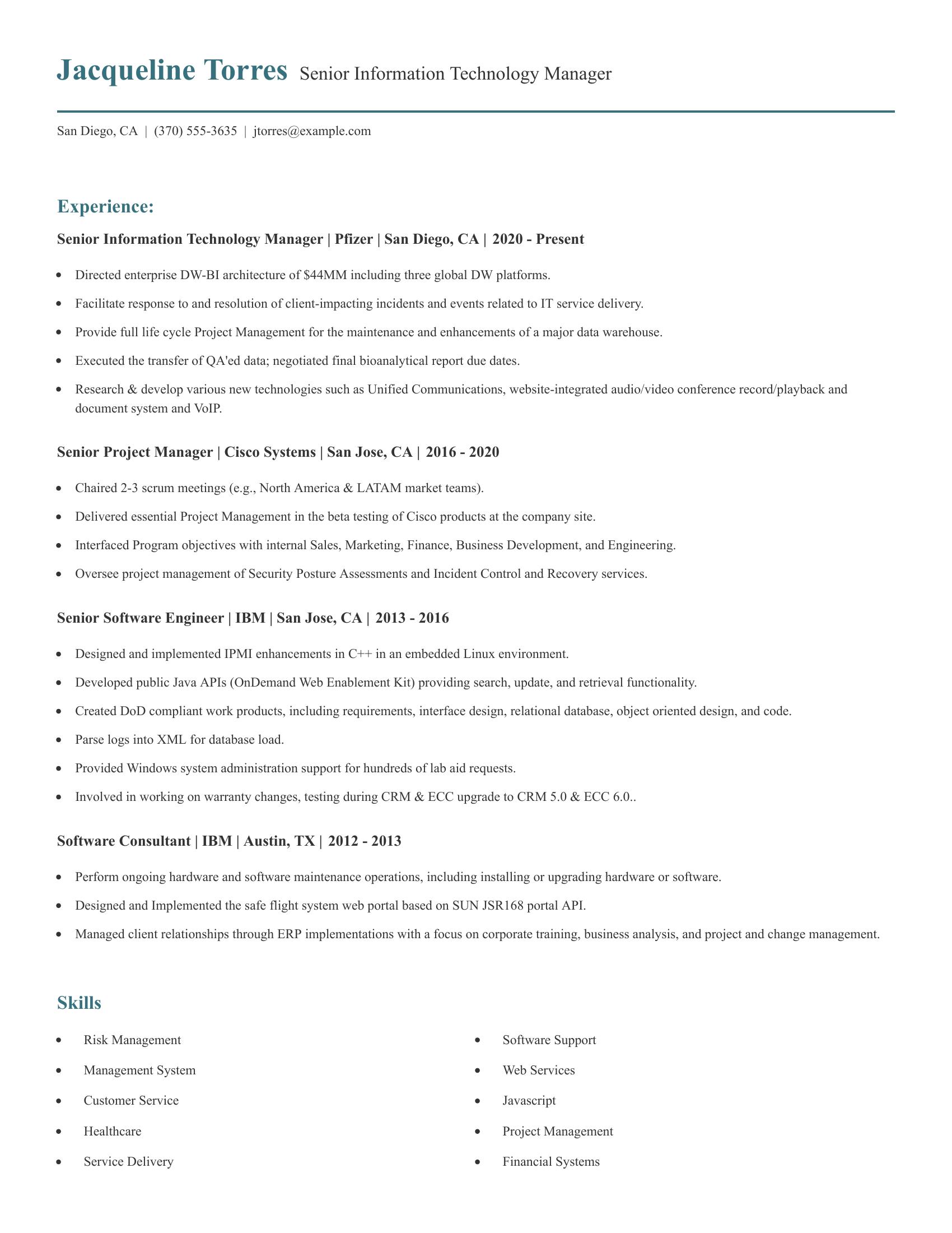 Senior Information Technology Manager resume example