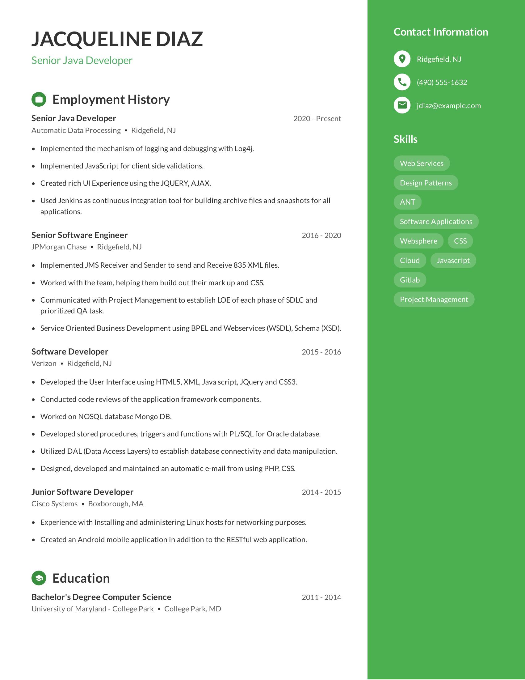 Senior Java Developer Resume Teamplate