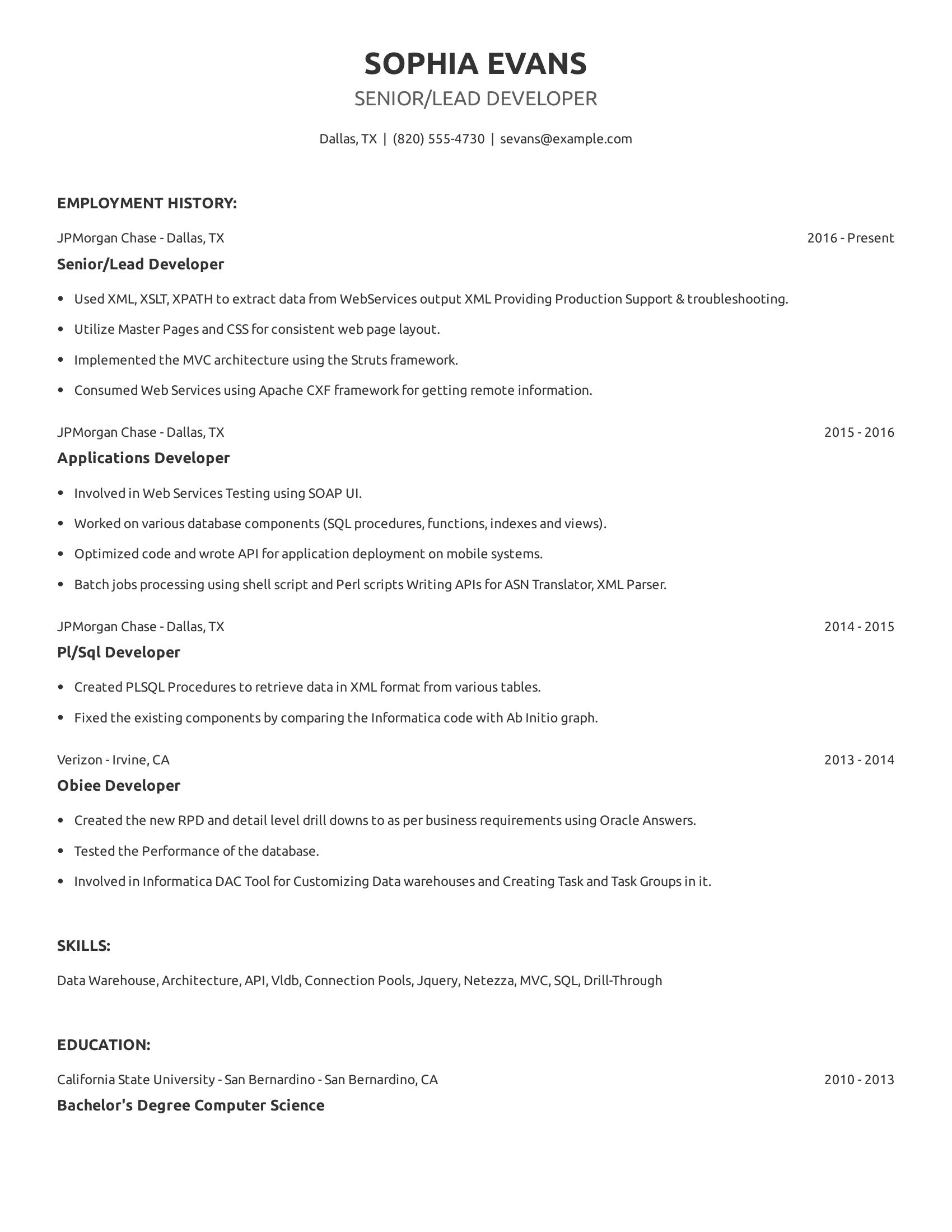 Senior/Lead Developer resume example