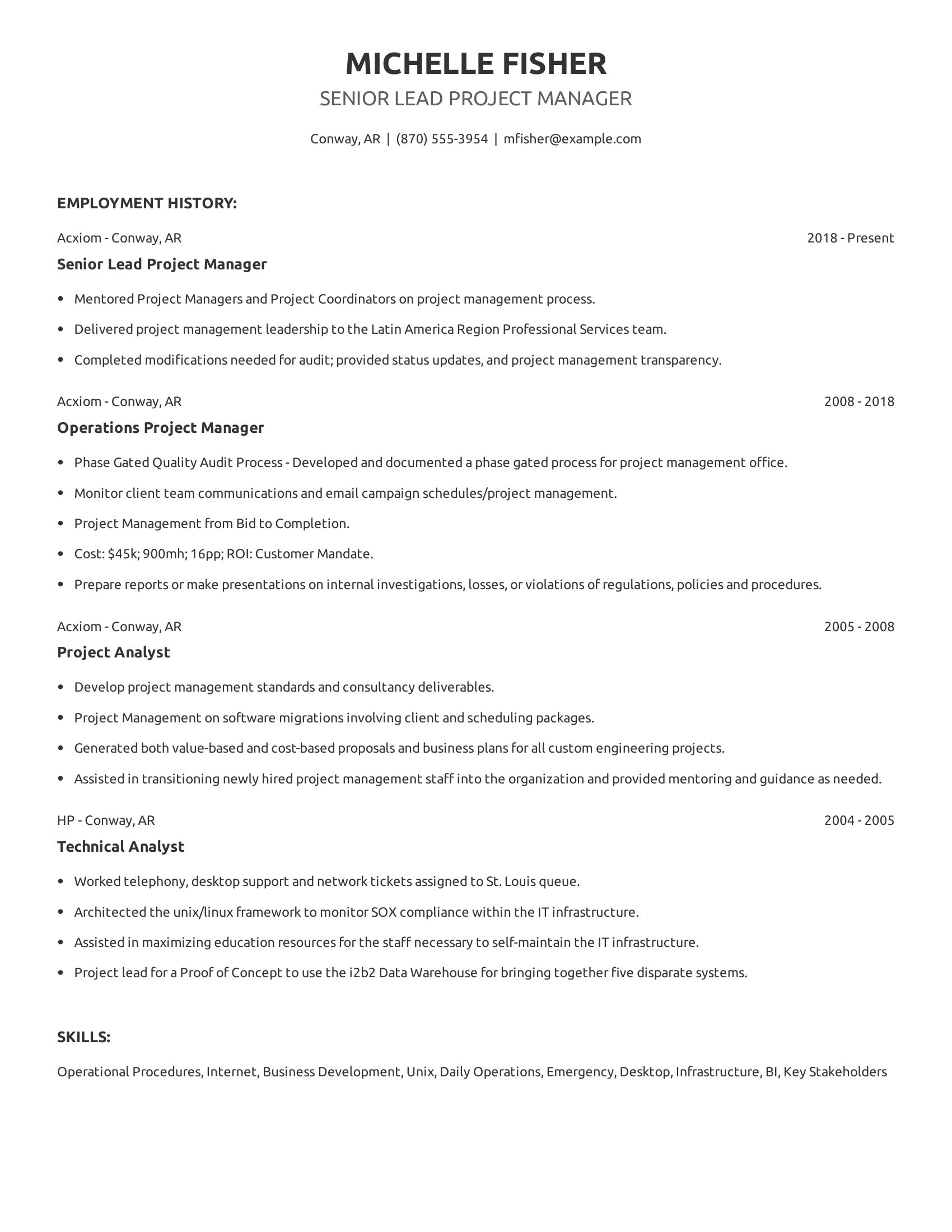 Senior Lead Project Manager resume example