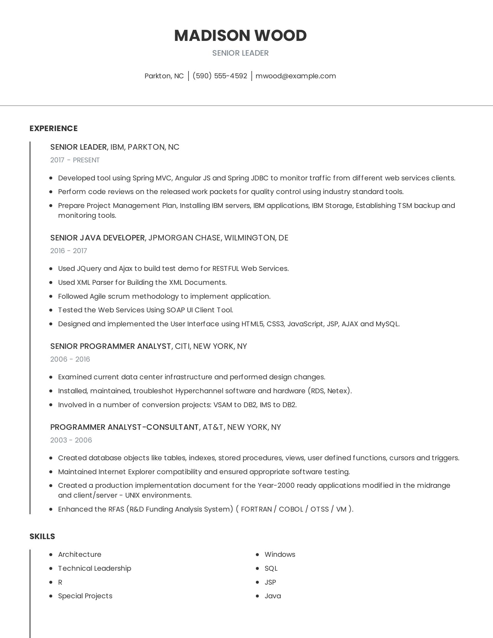 Senior Leader resume example