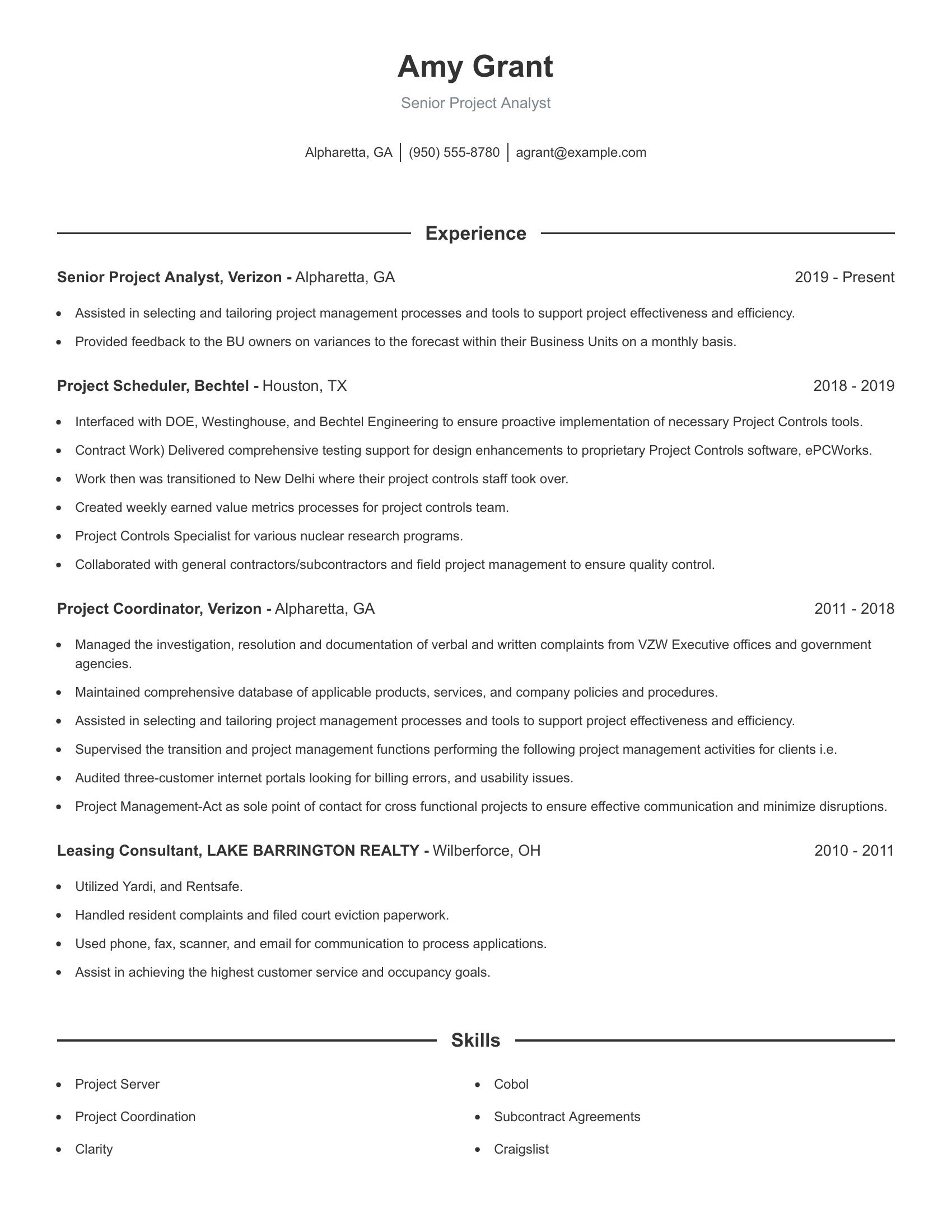 Senior Project Analyst resume example