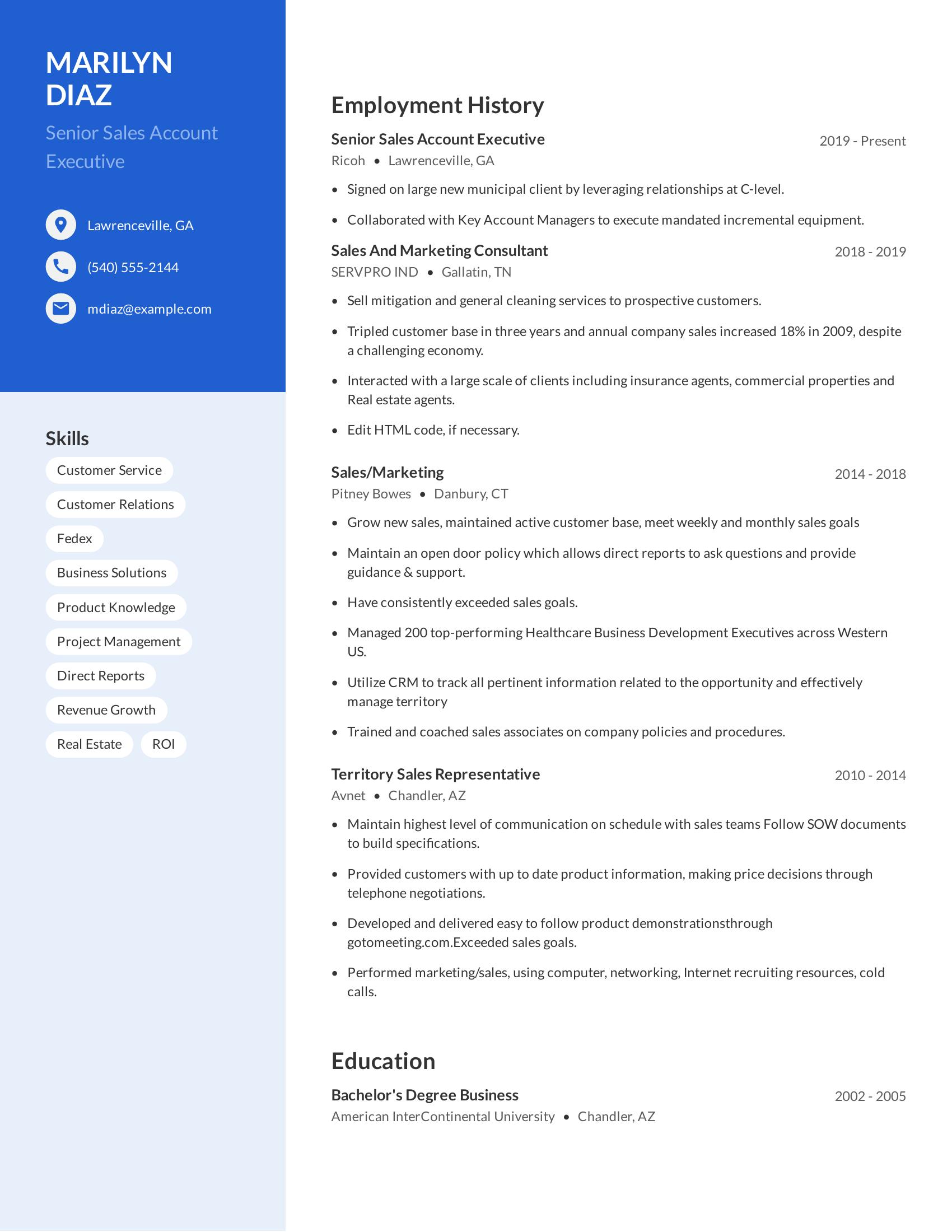 Senior Sales Account Executive resume example