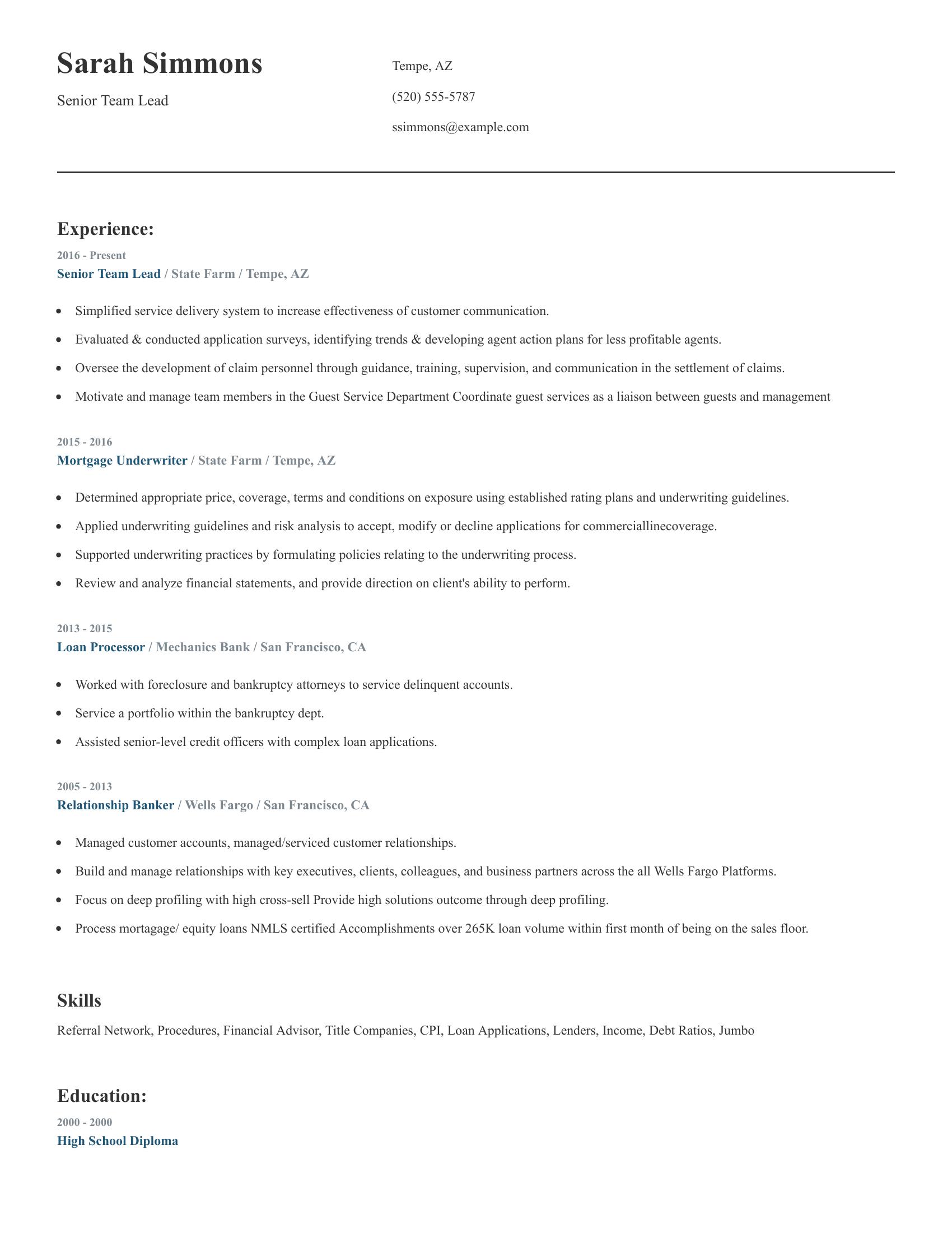 Senior Team Lead resume example