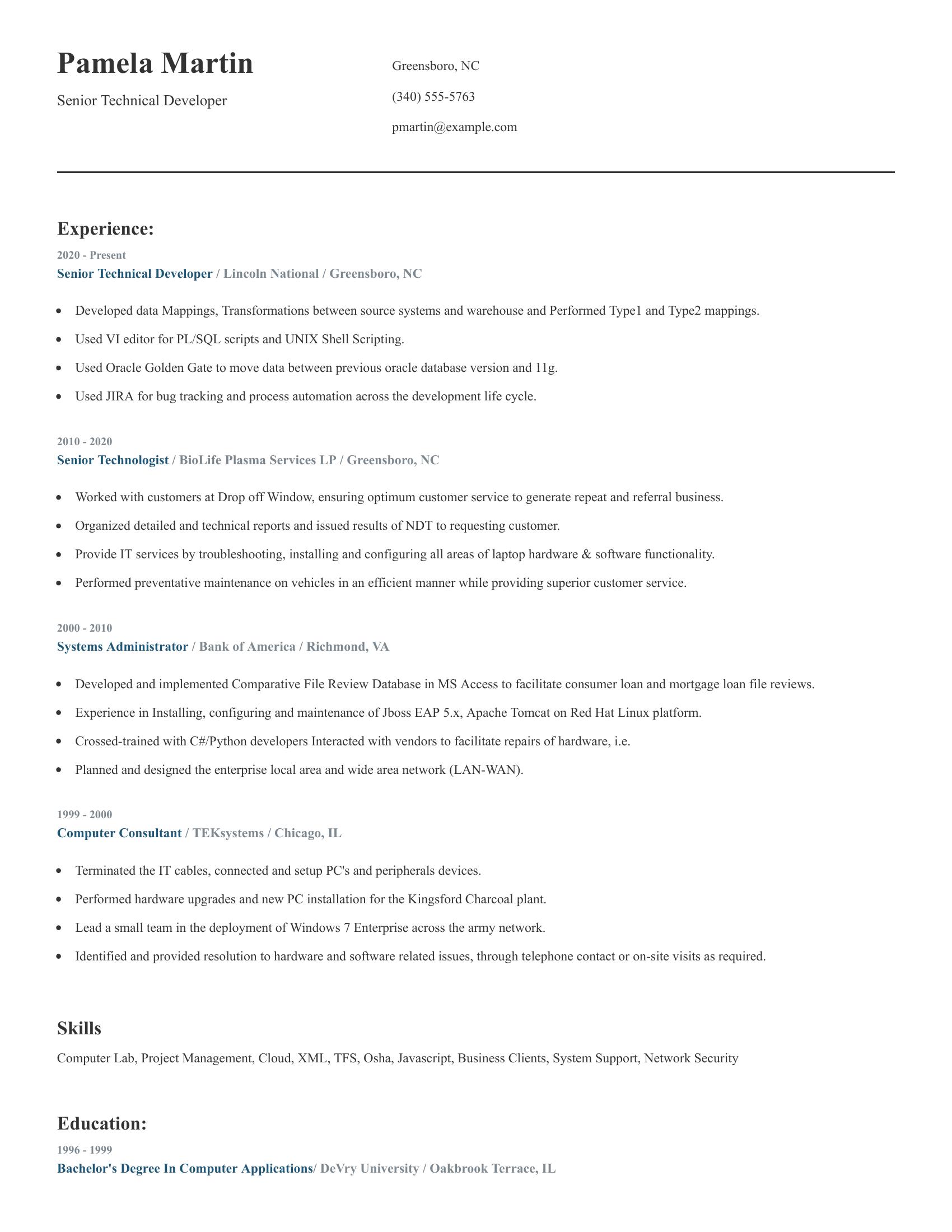 Senior Technical Developer resume example