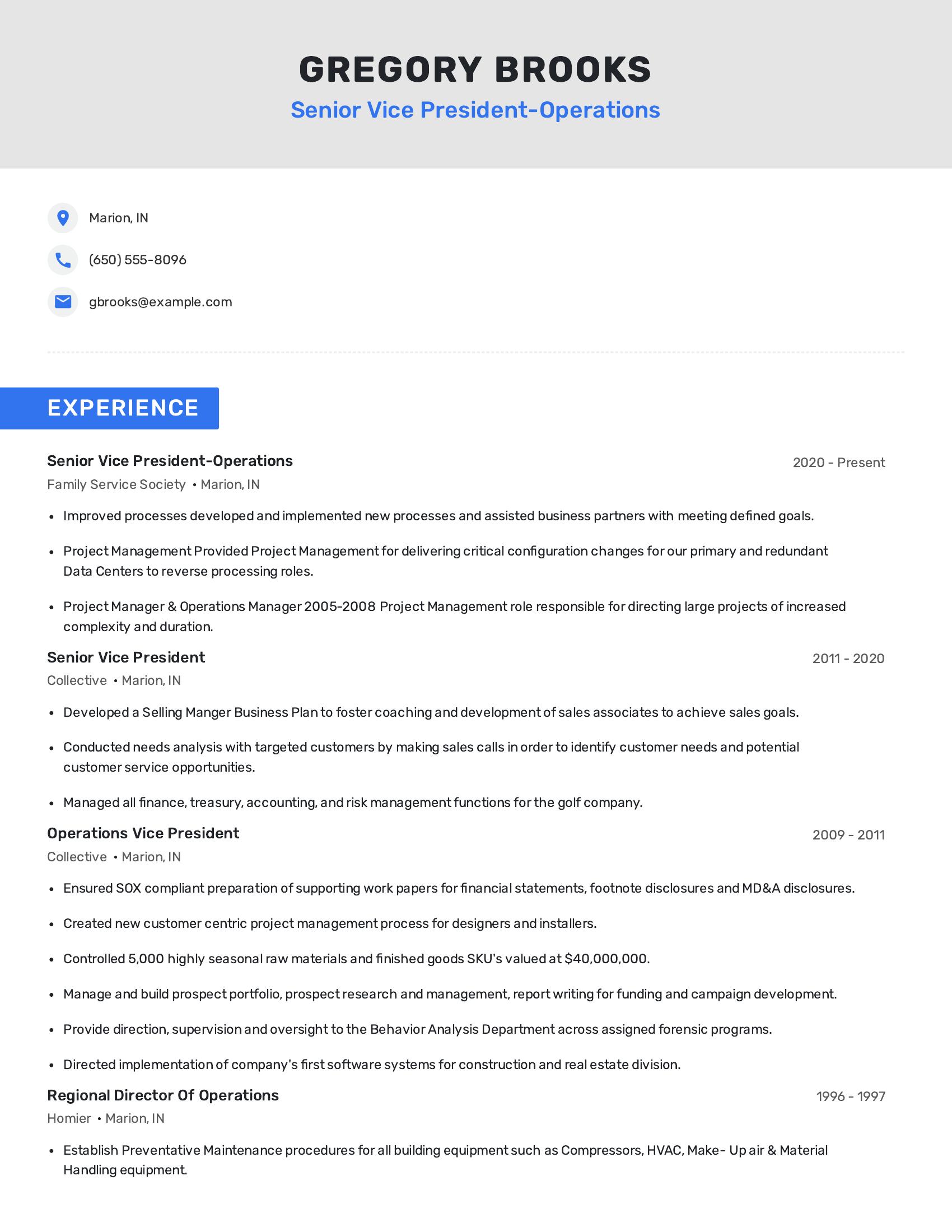 Senior Vice President-Operations resume example