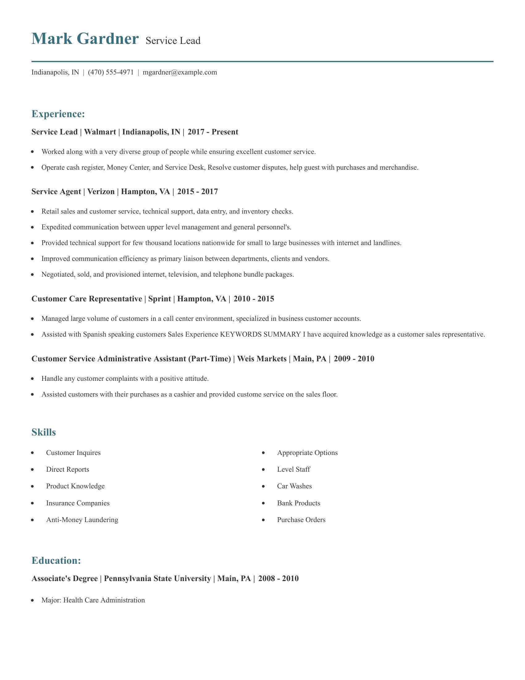 Service Lead resume example