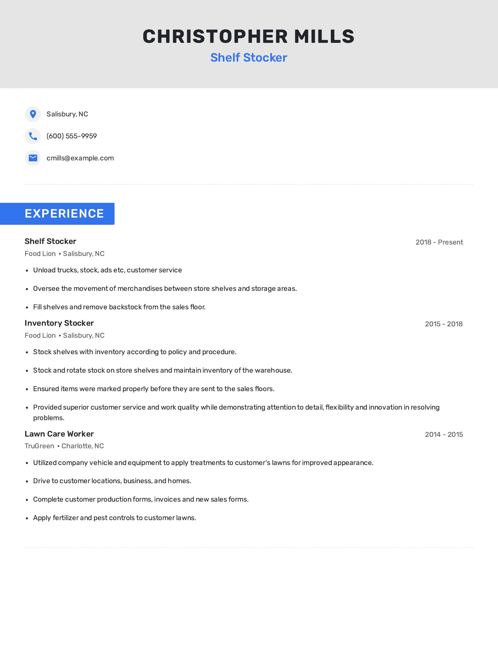 Shelf Stocker resume example