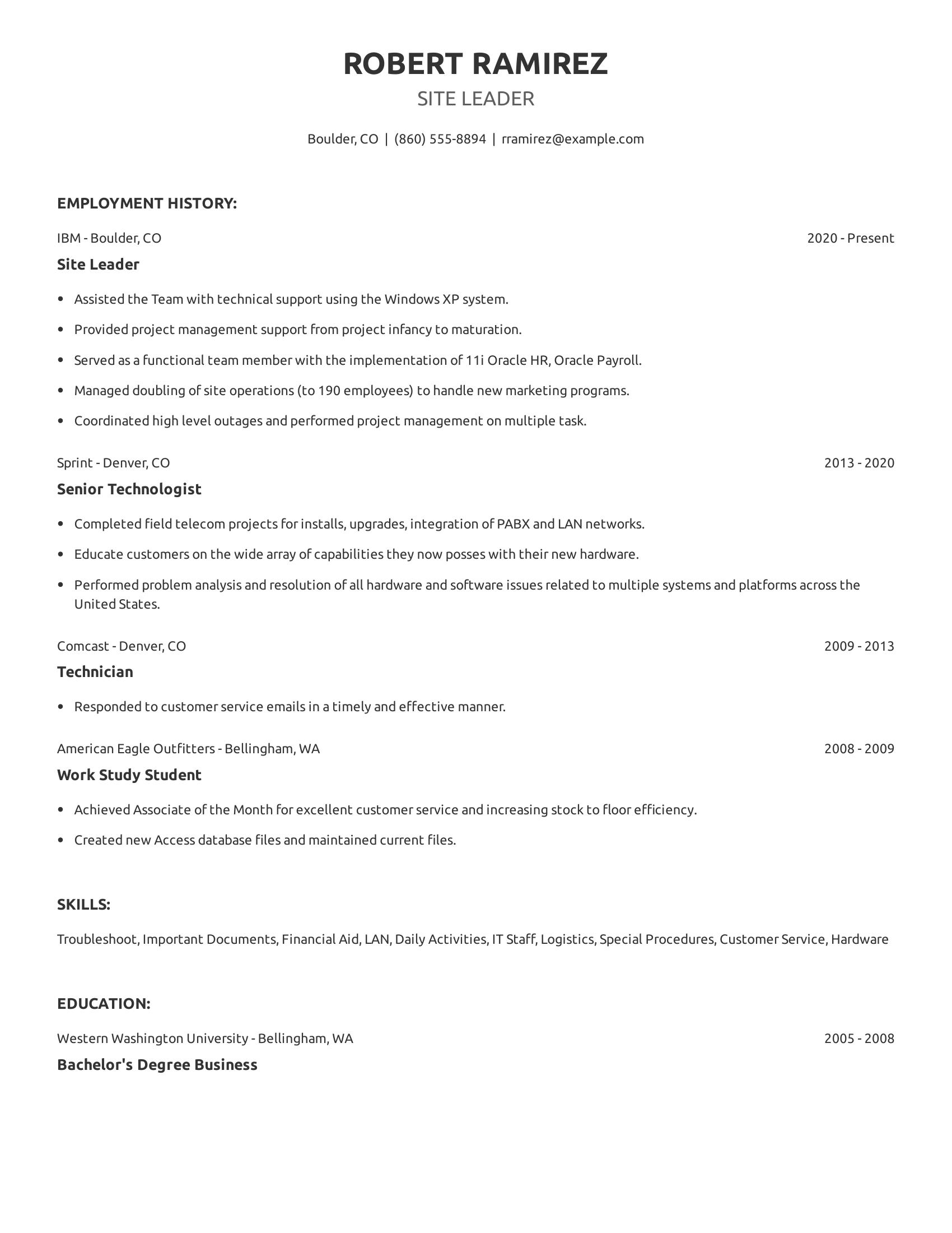 Site Leader resume example