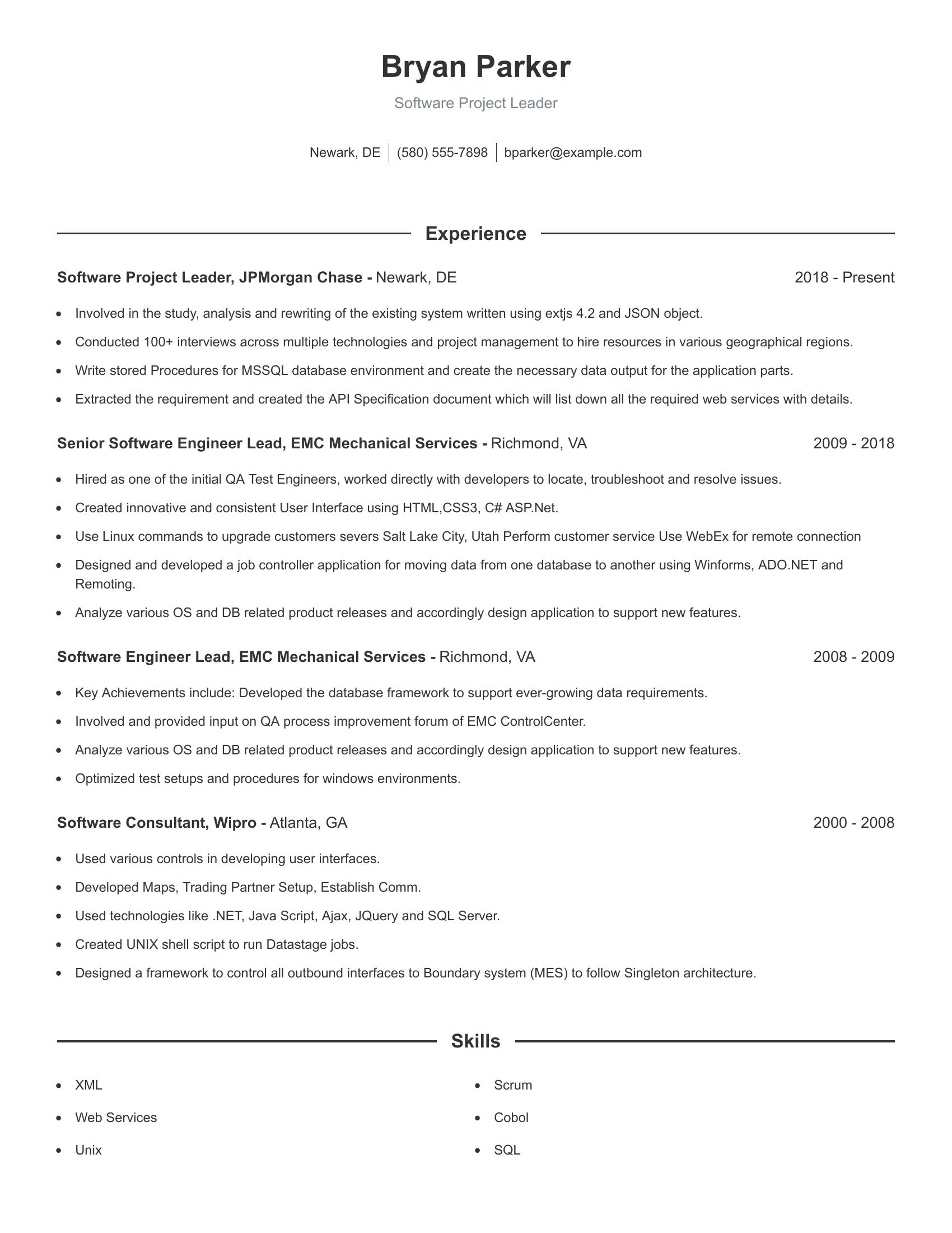 Software Project Leader resume example