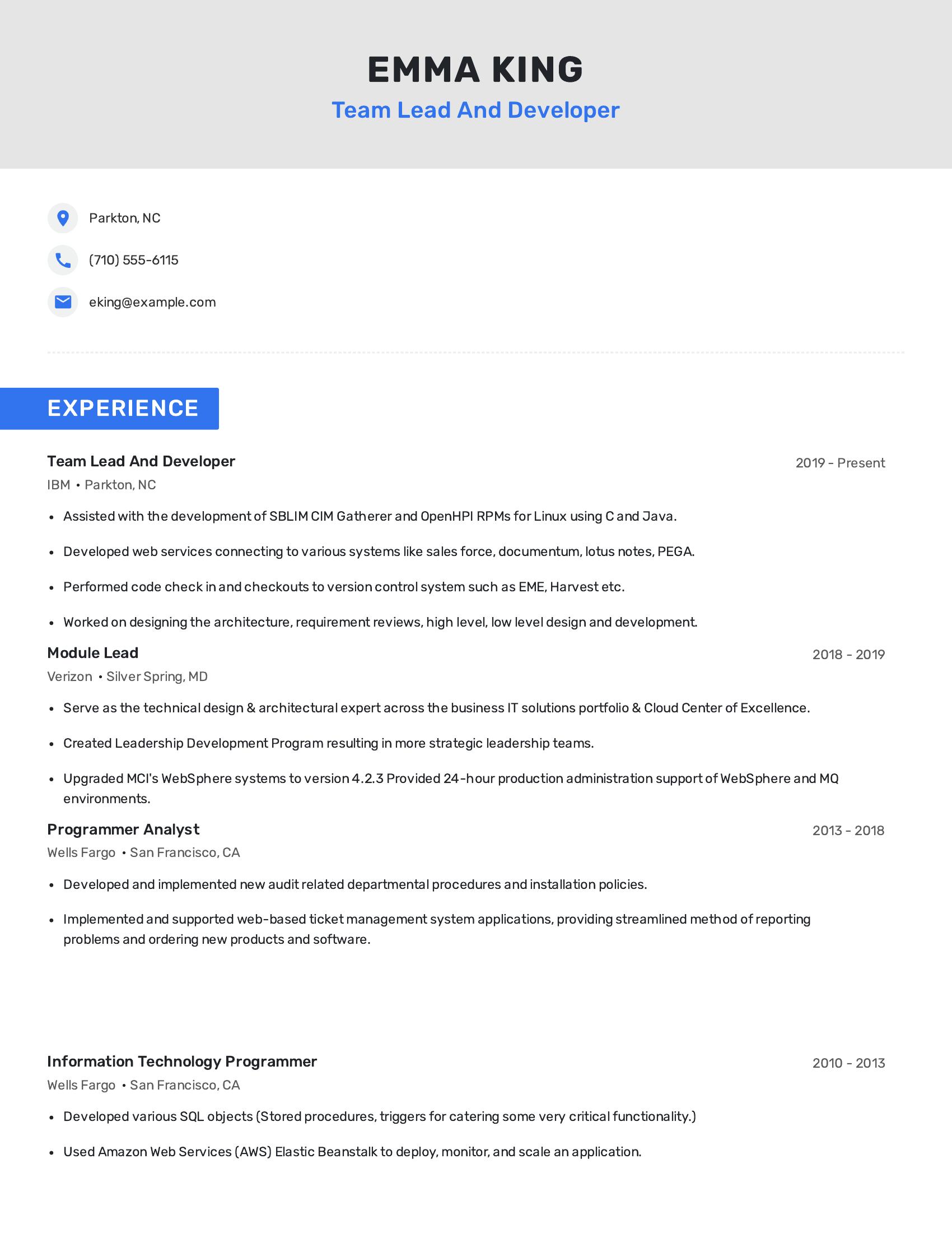 Team Lead And Developer resume example