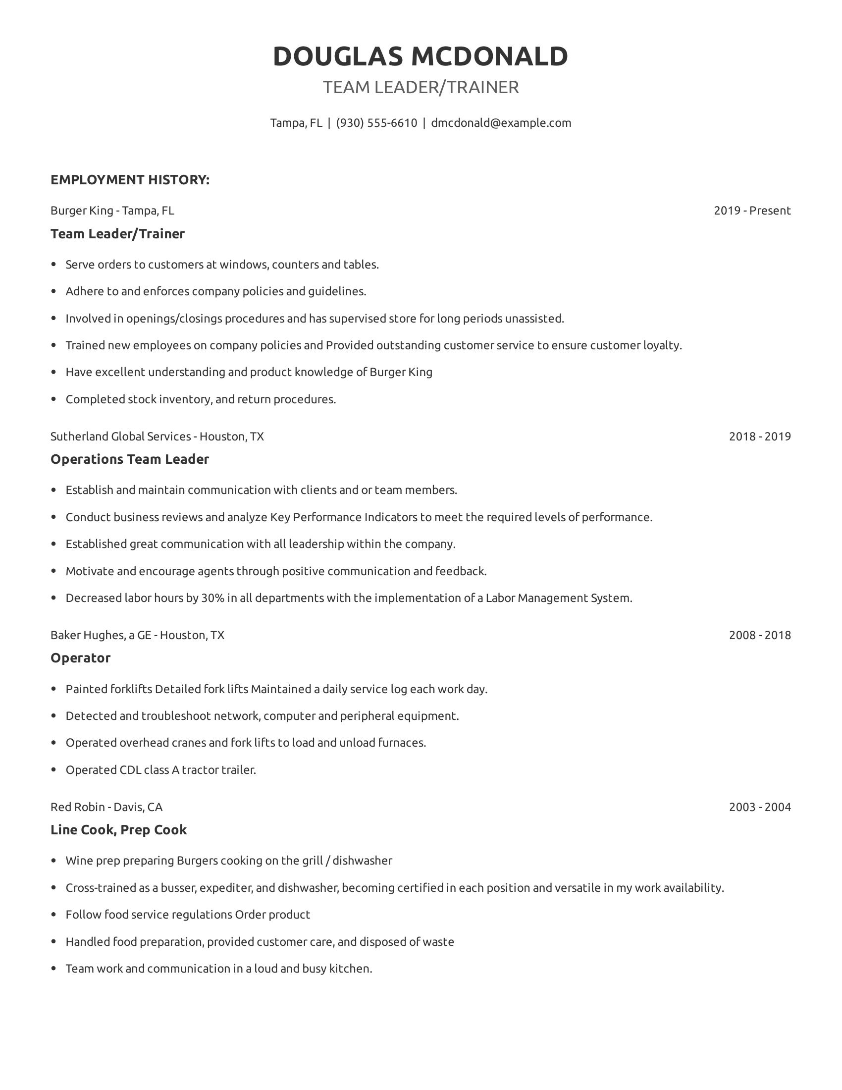 Team Leader/Trainer resume example