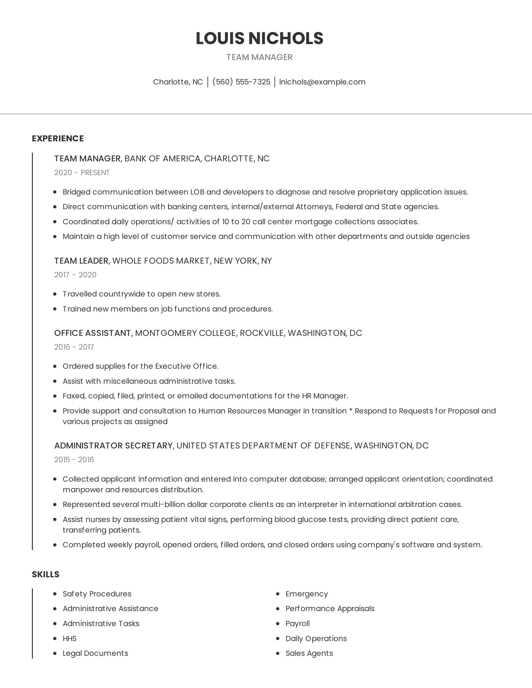 Team Manager resume example