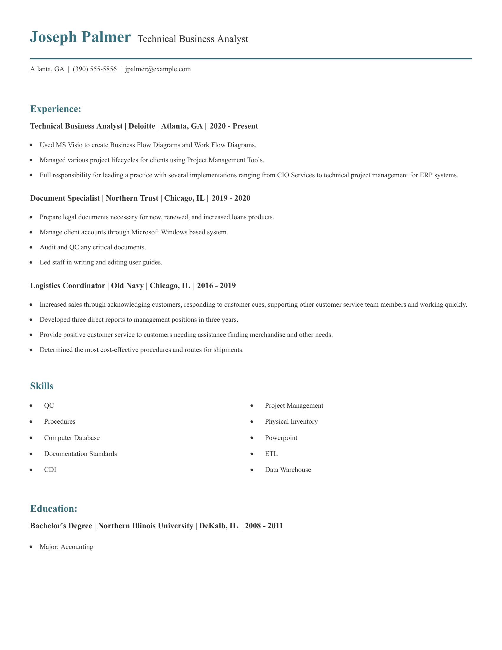 Technical Business Analyst resume example