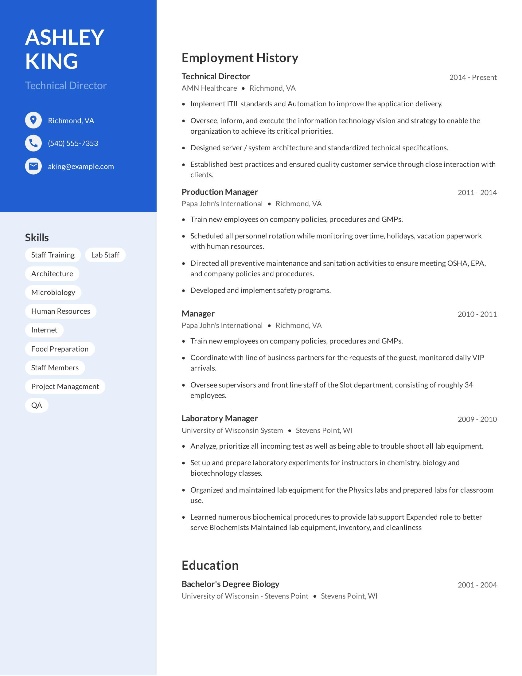 Technical Director resume example